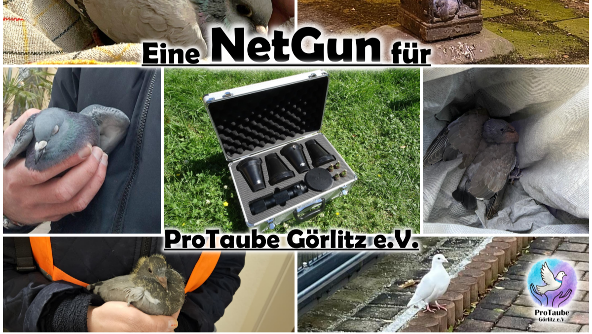 Eine NetGun für ProTaube Görlitz e.V. photo