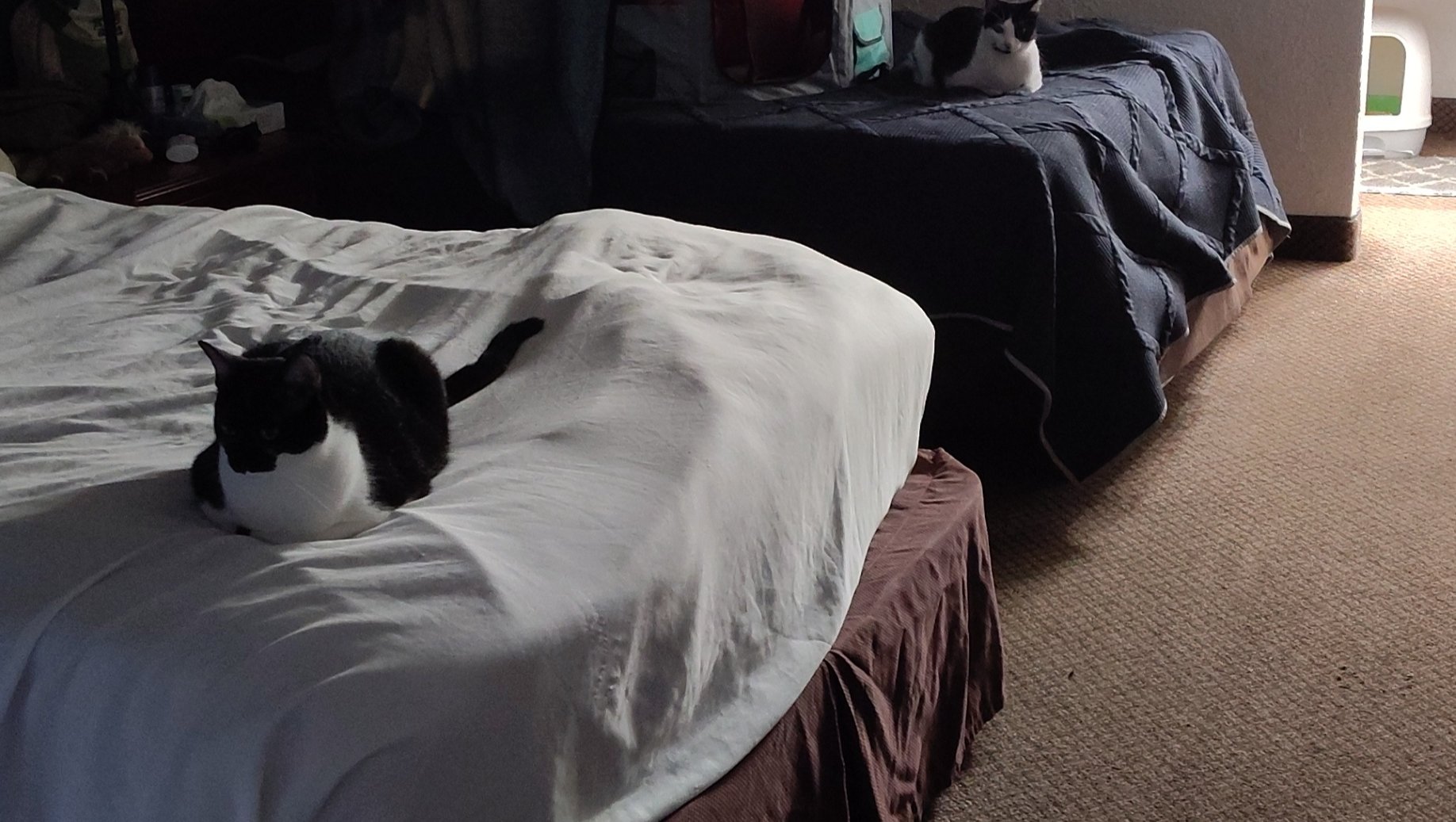 Help Relieve Daily Stress for a Homeless 23-Year-Old photo
