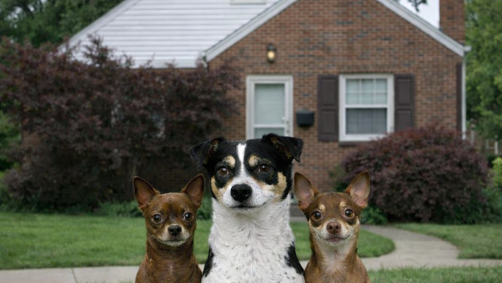 Help Me Catch Up on My Mortgage & Expenses. photo