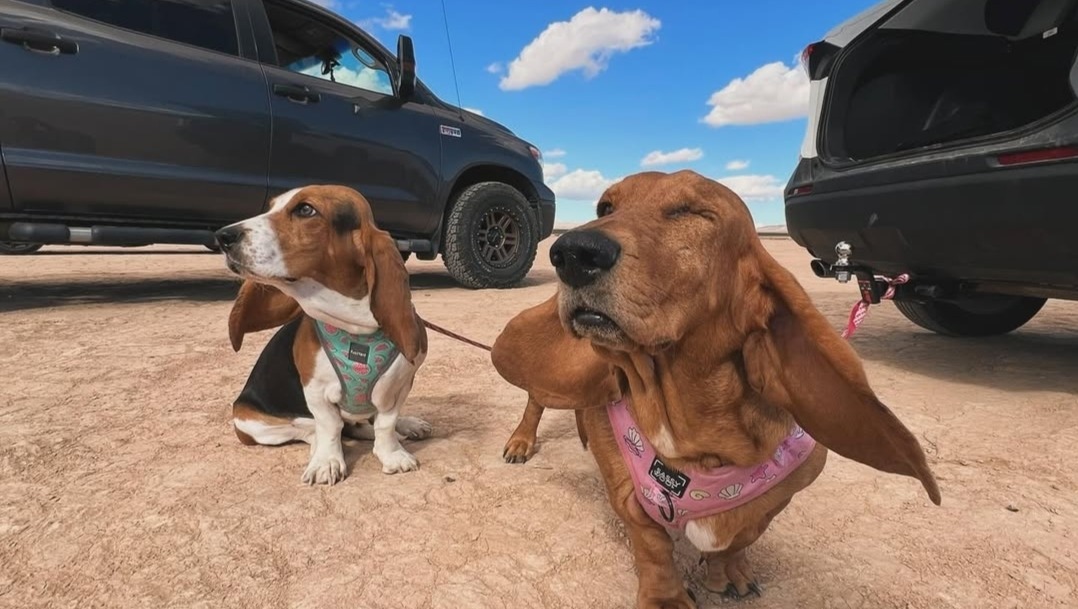 Help Ellie and Mala Through This Tough Time