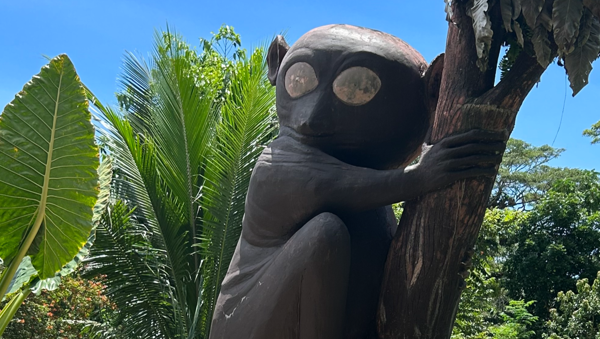 Support Nimalia photo