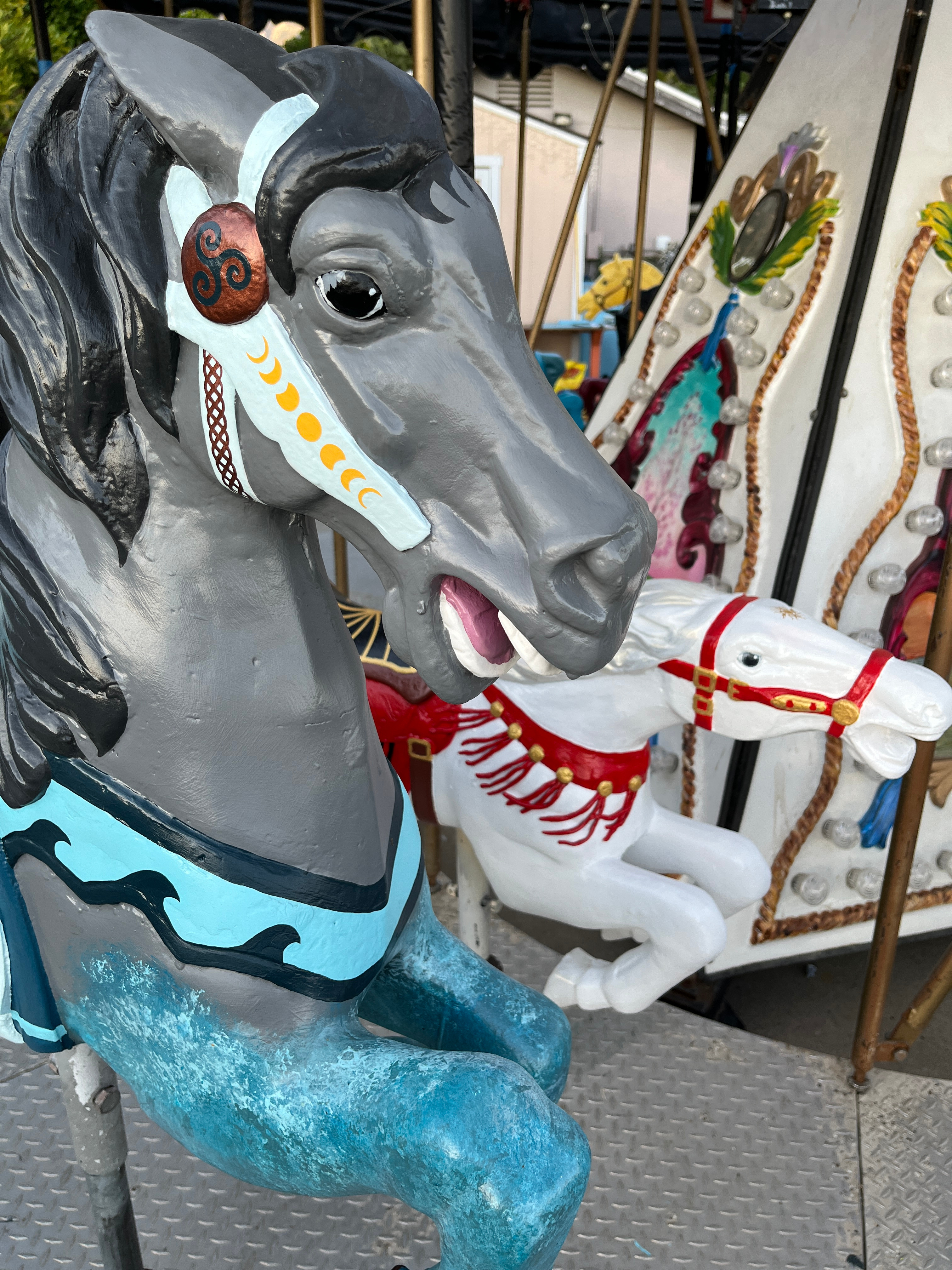 Support the Skyhorse Carousel's Next Chapter campaign photo, 4 of 5
