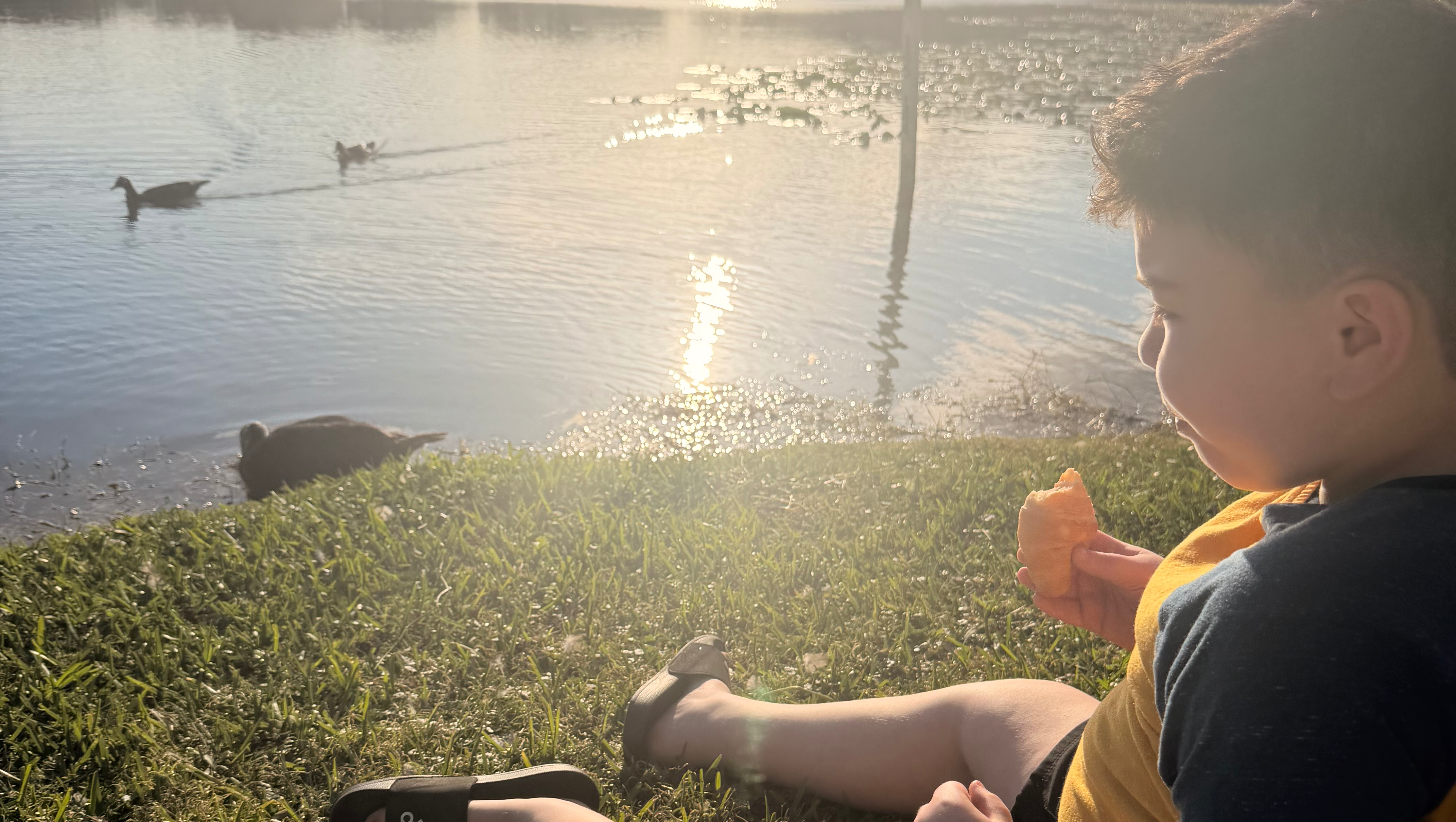 Help Us Get Our Son to Life-Changing Treatment