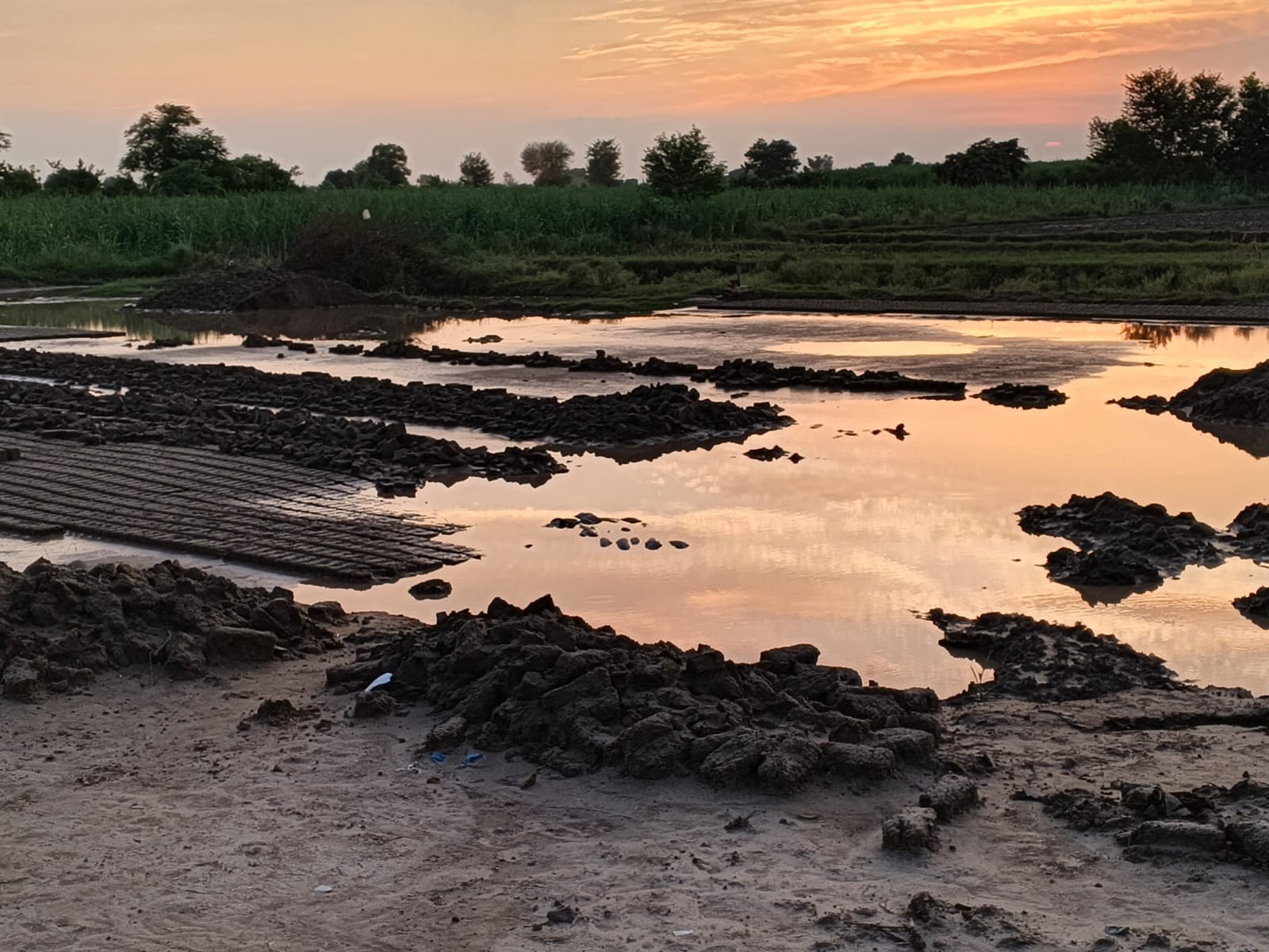 Easter Compassion: Feed Families in Pakistan's Brick Kilns campaign photo, 5 of 8