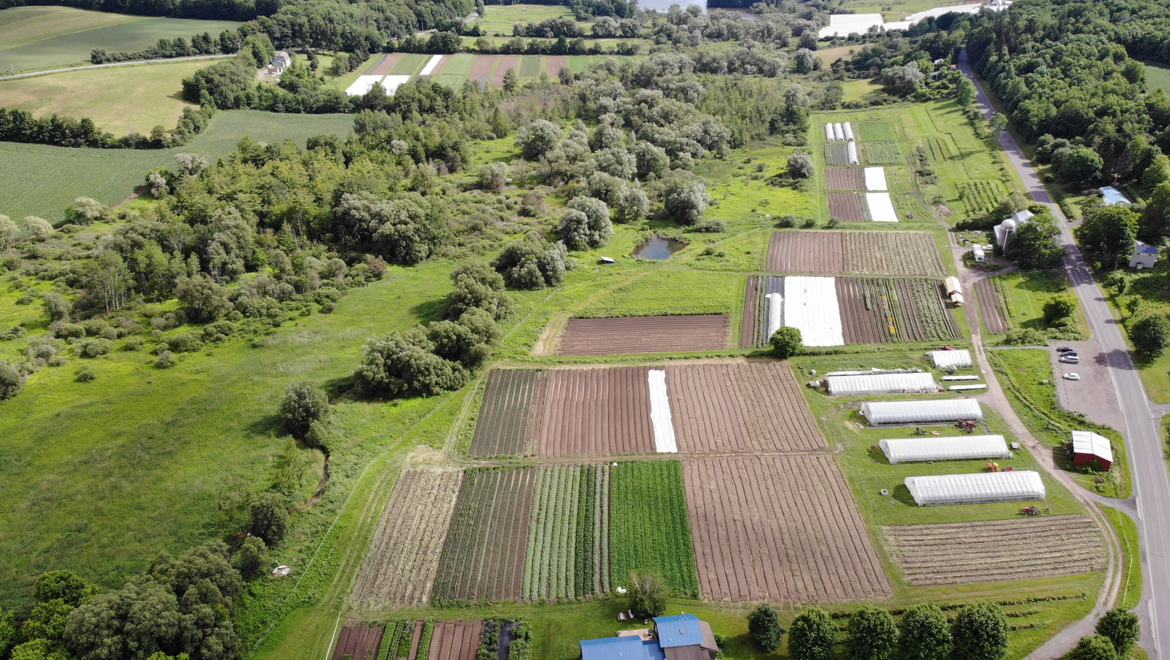 Fundraiser by Common Thread Farm : Help Common Thread Farm Upgrade ...