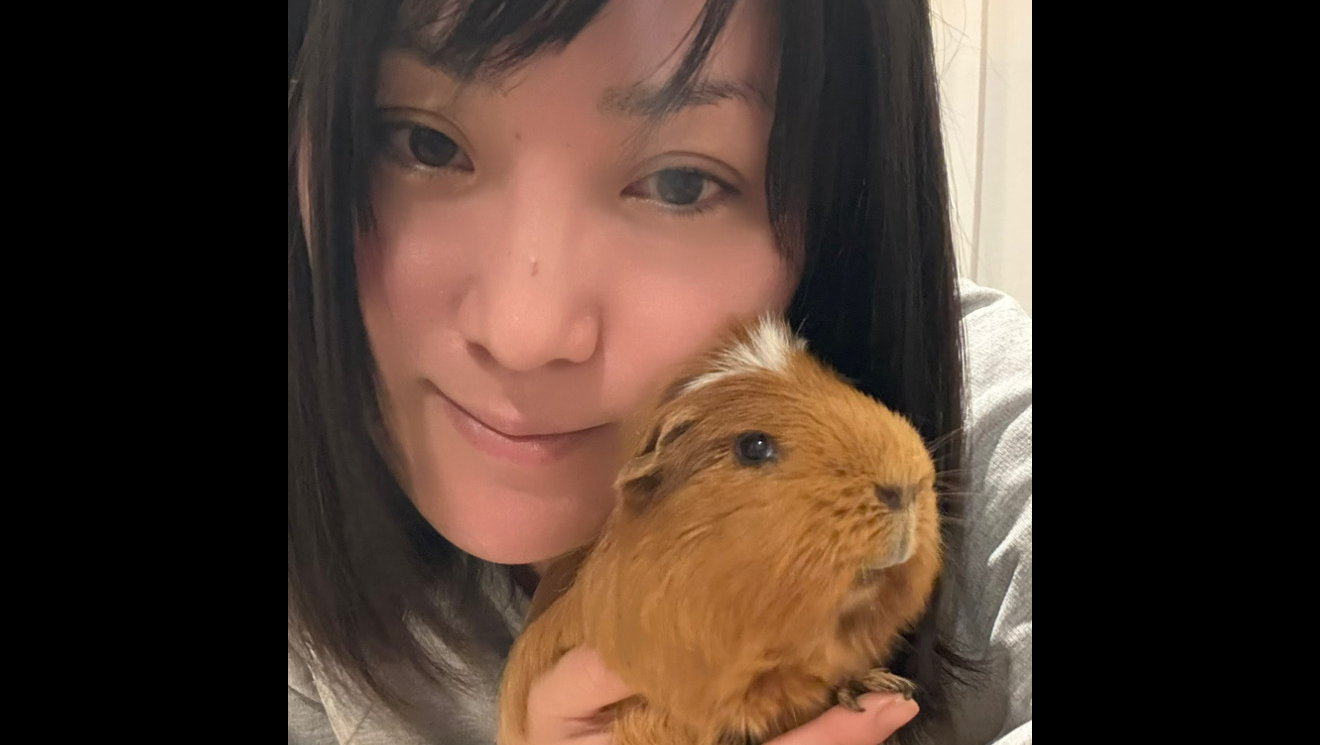 PLEASE HELP A Small Guinea Pig Who Still Wants to Live photo