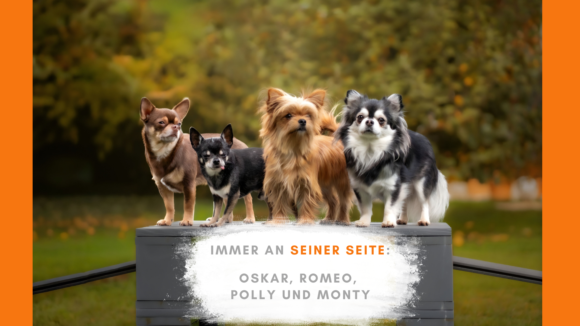 Hoffnung auf Leben - mein Bruder kämpft gegen akute Leukämie campaign photo, 6 of 8