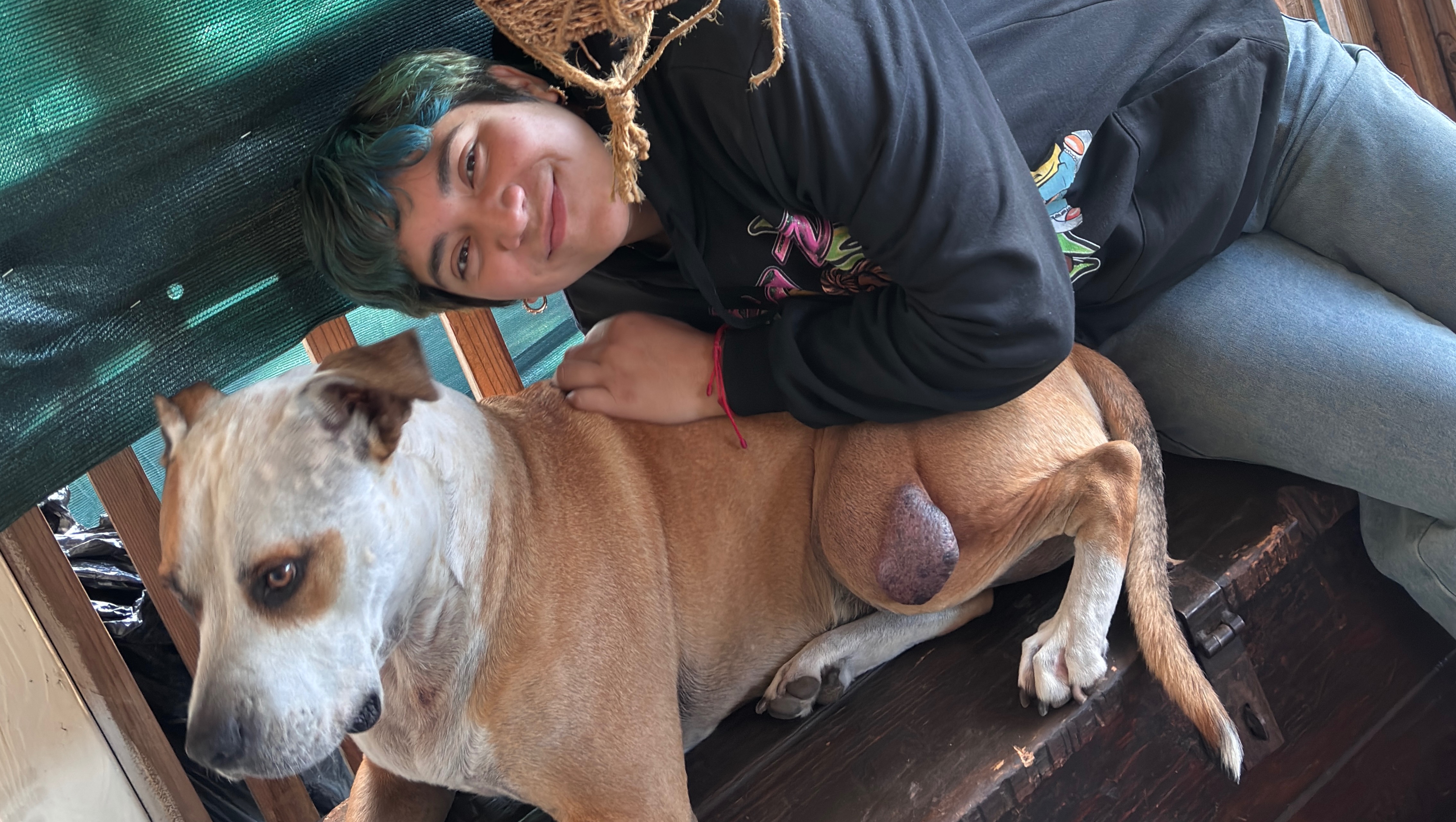 Help Odhi Get Tumor Removal Surgery
