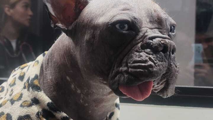 Help Único Get Life-Saving Surgery