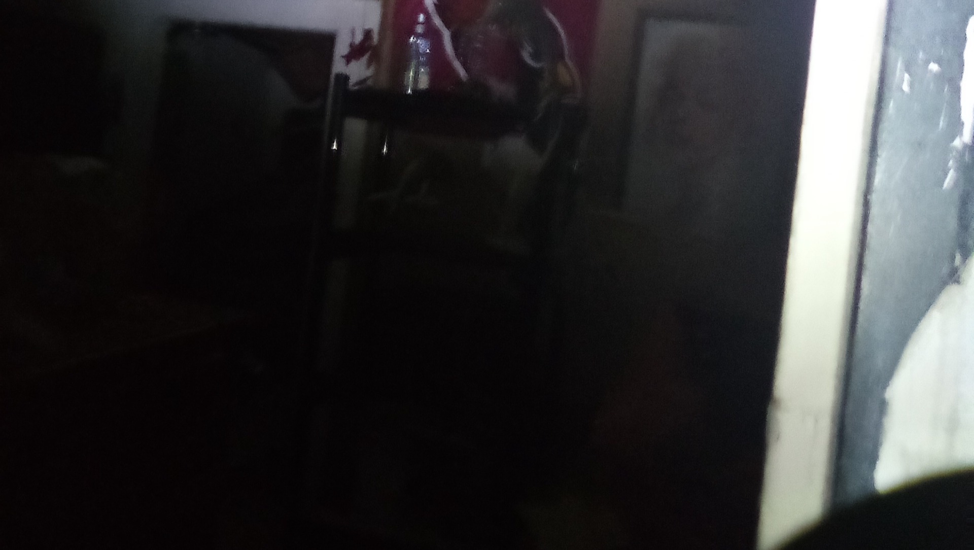 Help Maria & Grandma Rebuild After House Fire photo