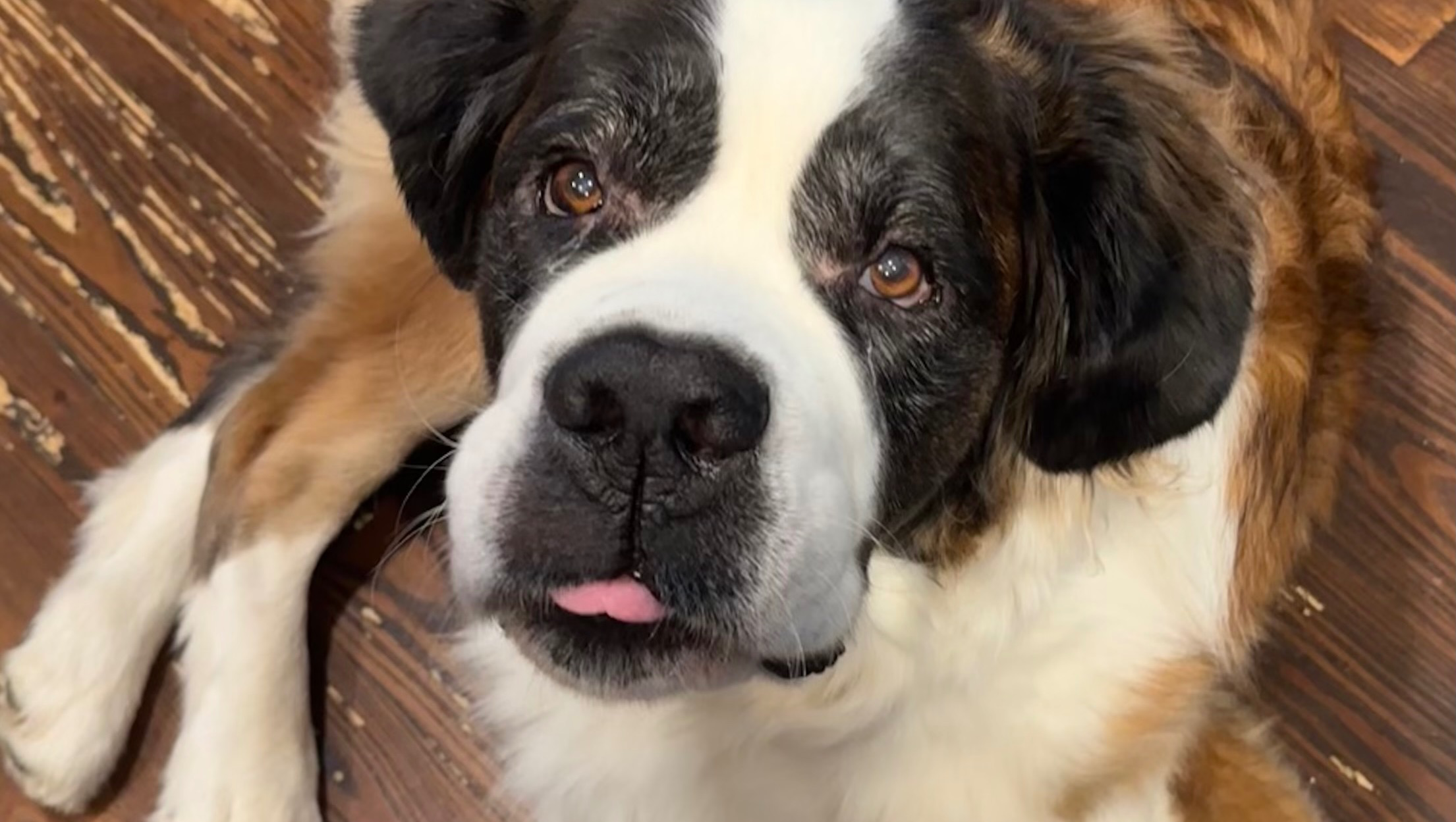 Support Emma’s Move to a Safe Apartment photo