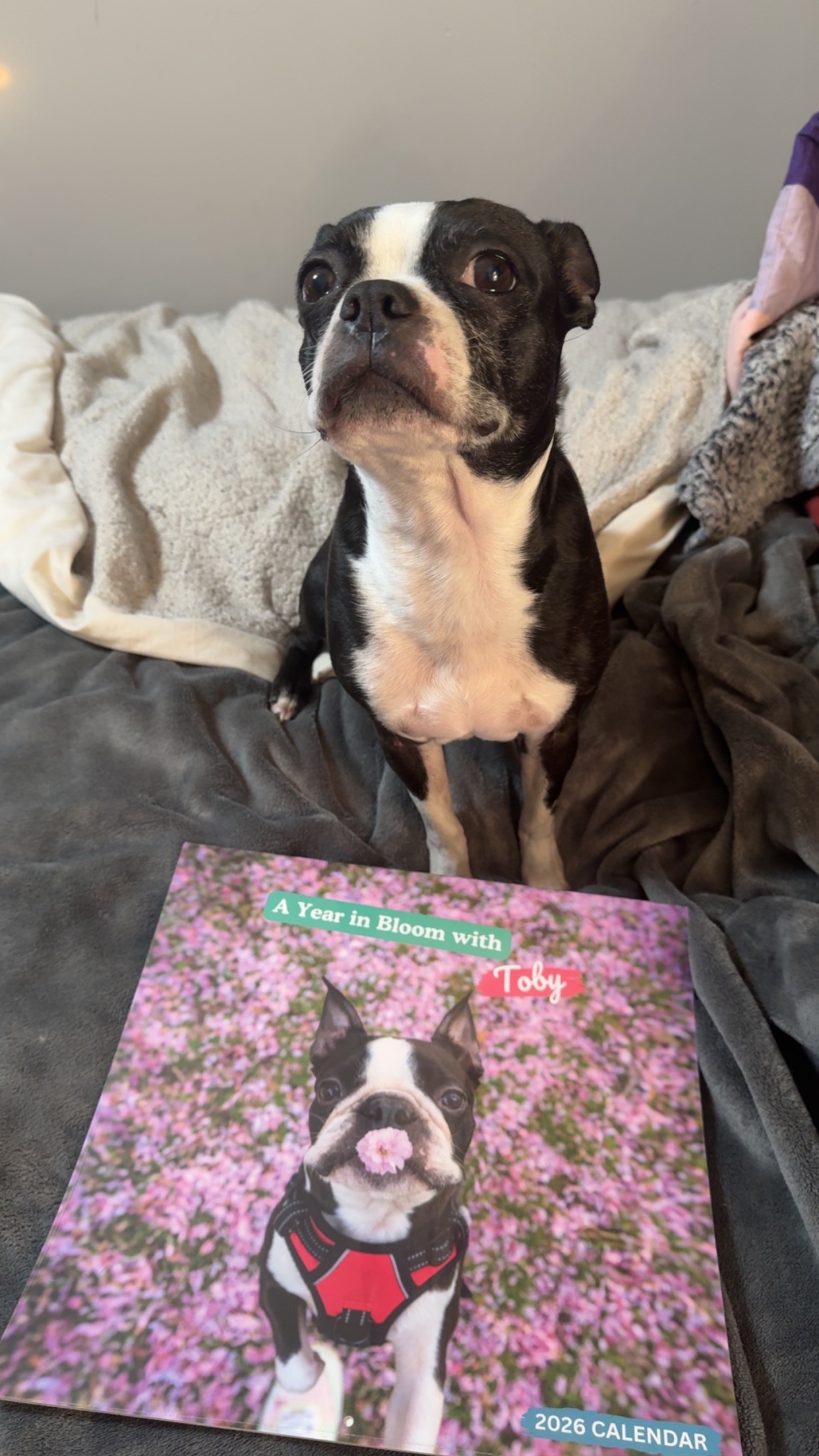 Help Caboose Get Lifesaving Care campaign photo, 5 of 7