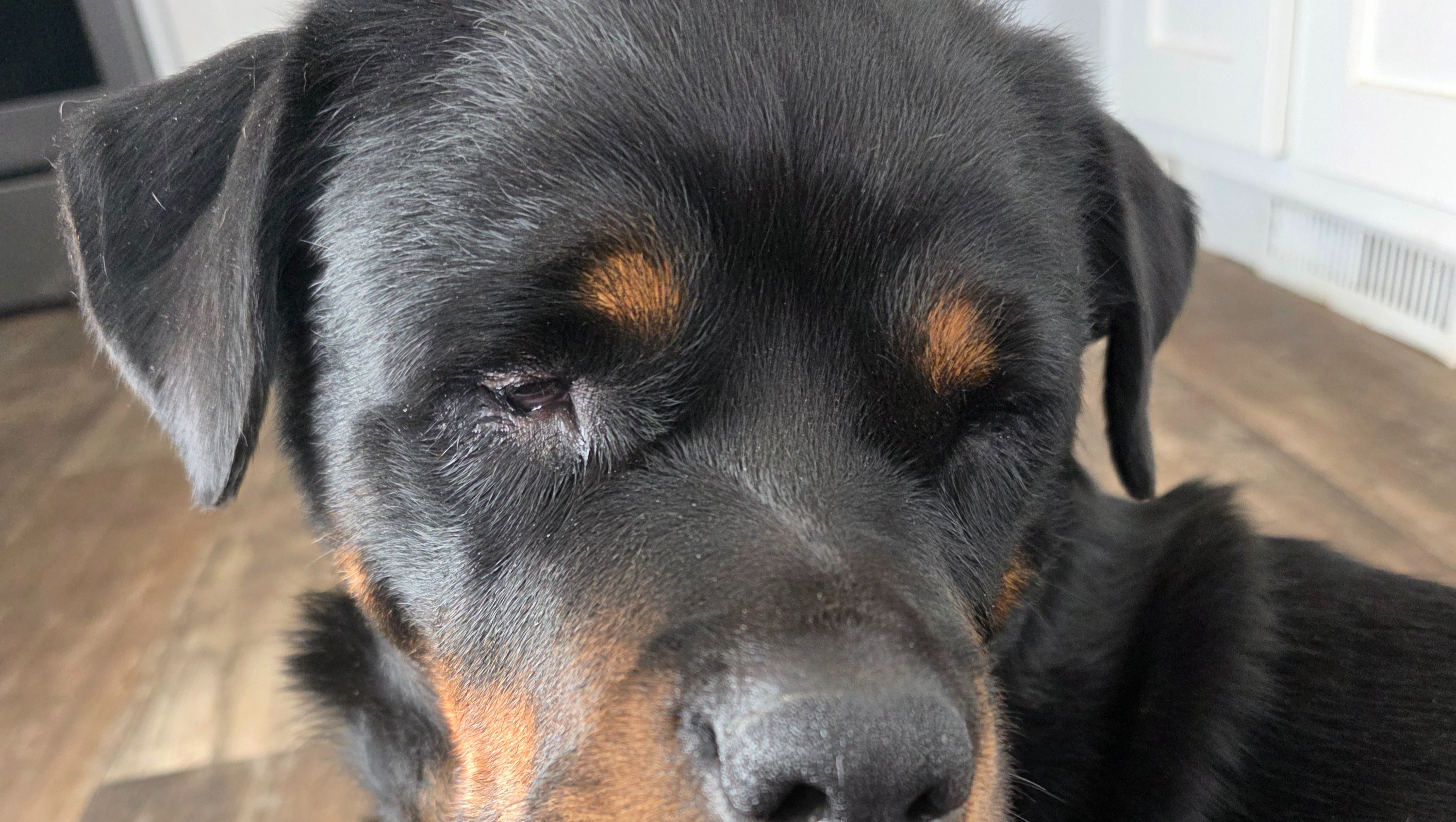 Help Charlotte's Vision Quest photo