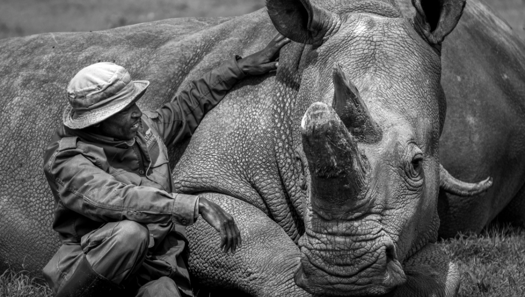 When protecting life means photo