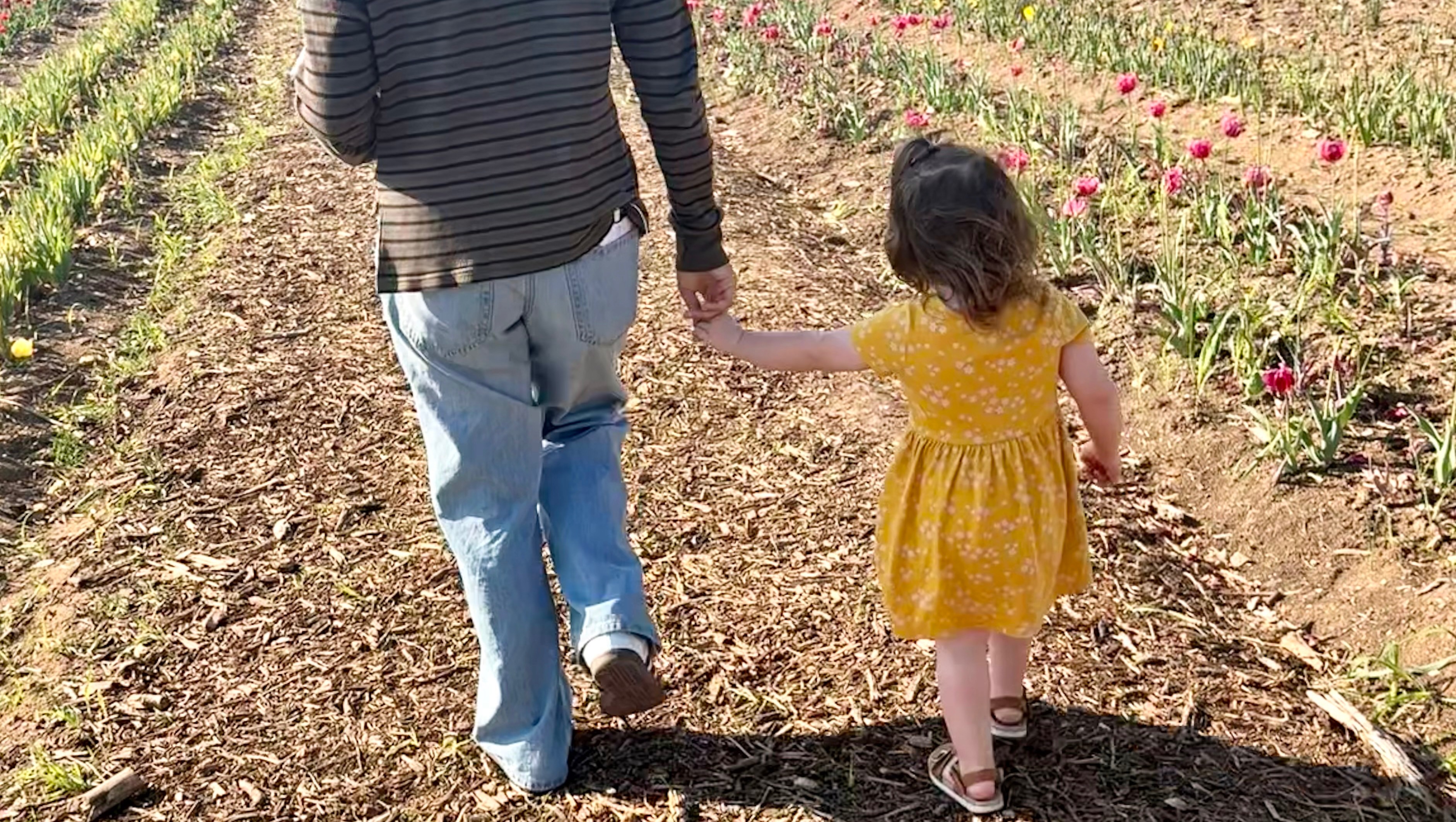 Legal Advocacy for Sarah Ann photo