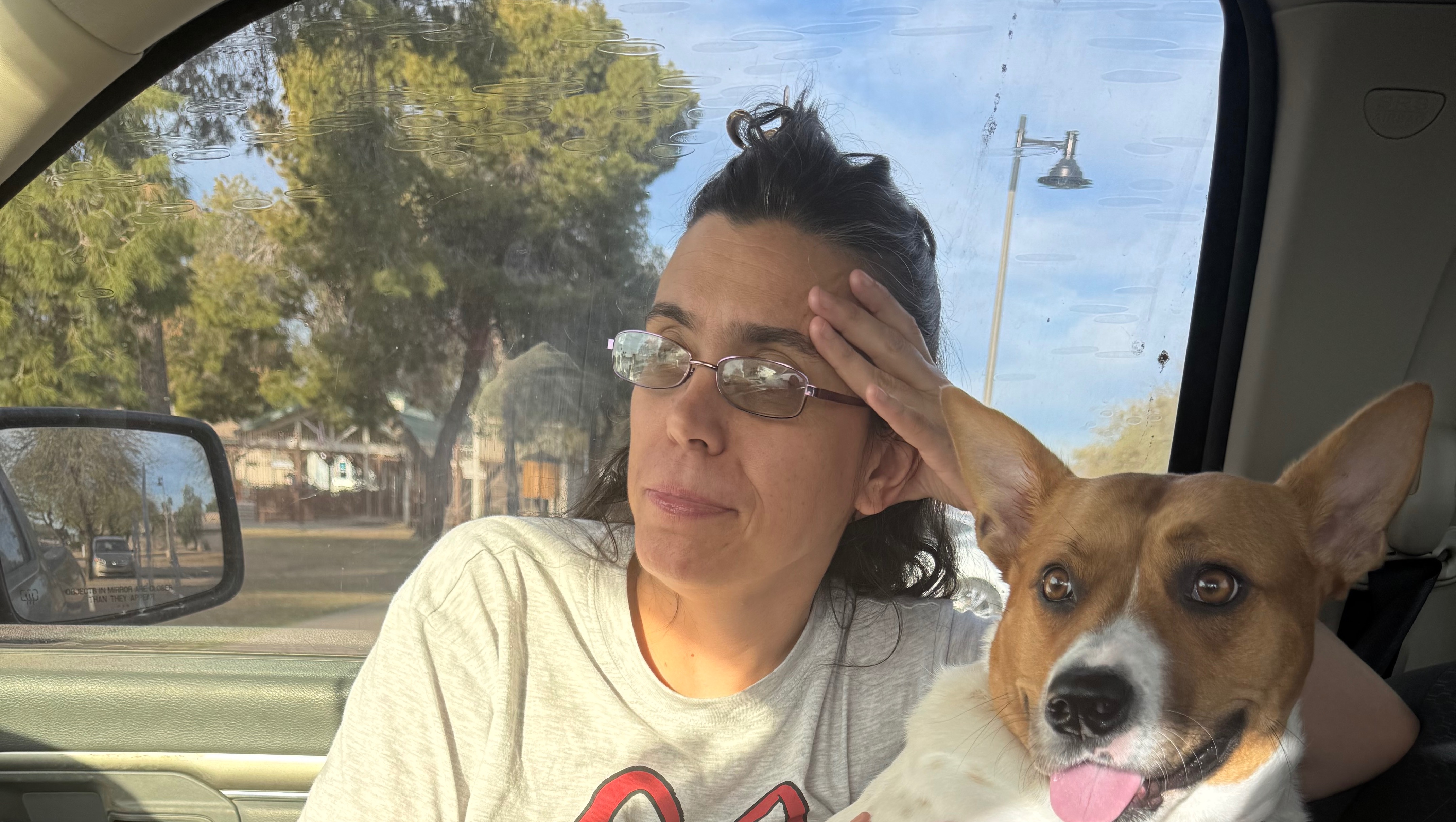 Help Season Become My Service Dog photo