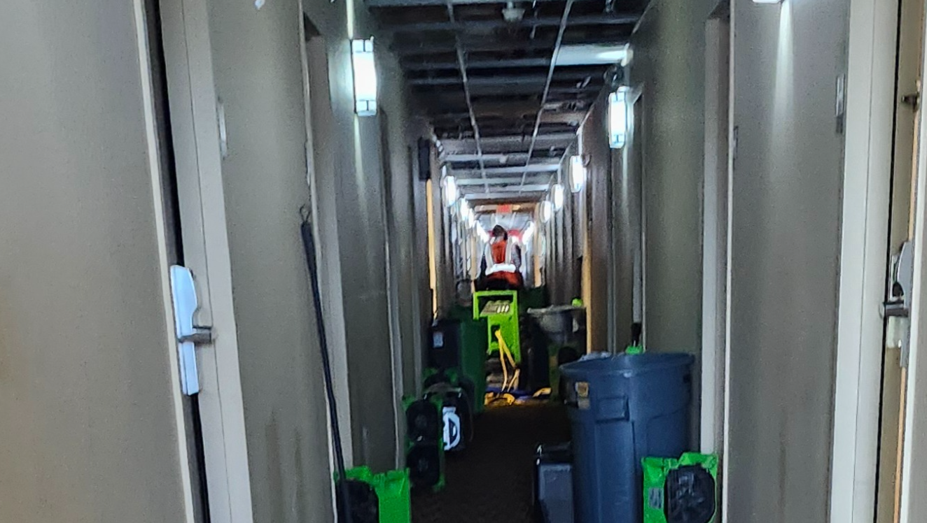 Help Me Recover After Hotel Flood photo