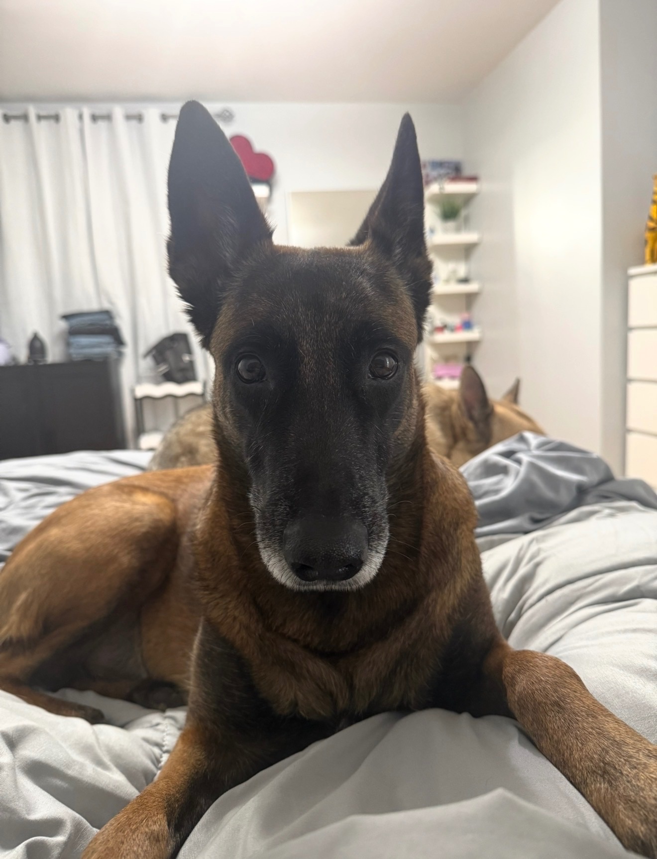 Support Doshka’s Urgent Surgery and Recovery campaign photo, 2 of 7