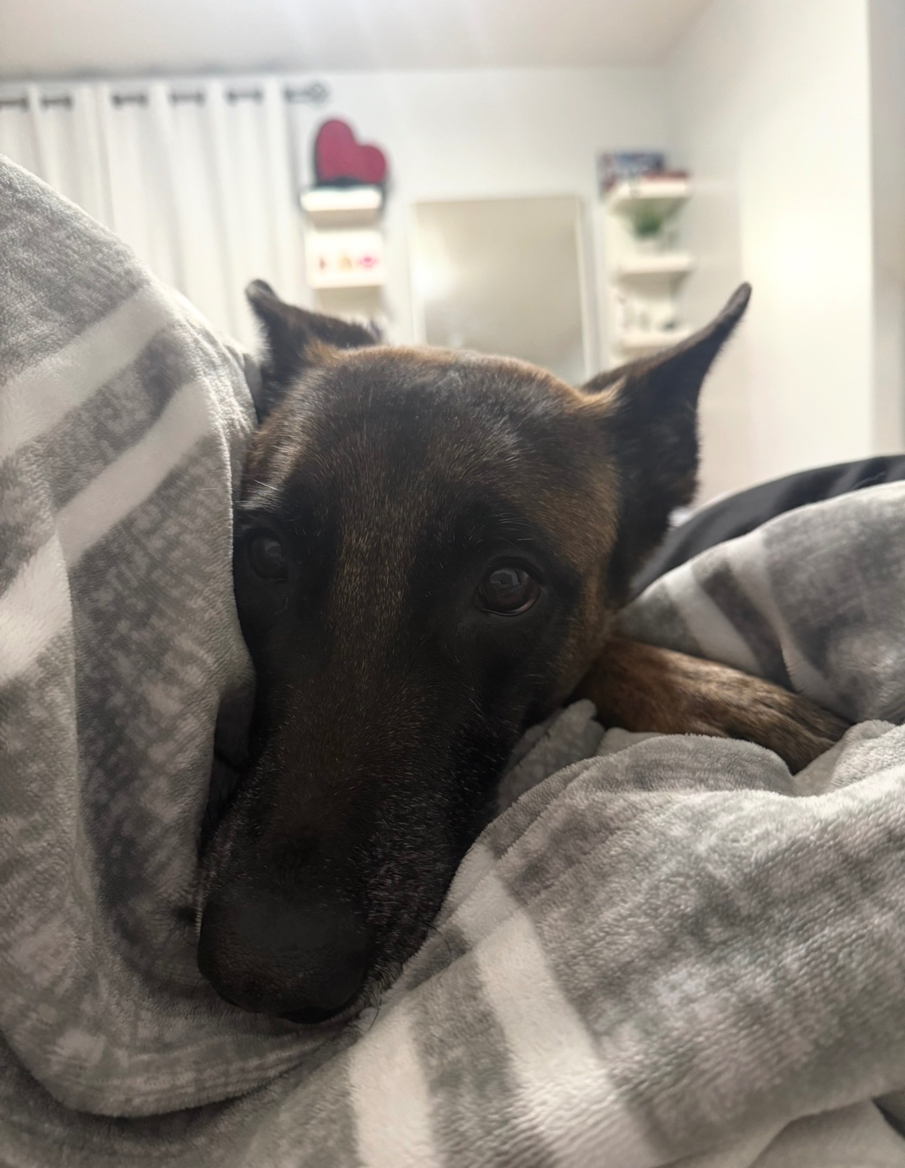 Support Doshka’s Urgent Surgery and Recovery campaign photo, 4 of 7