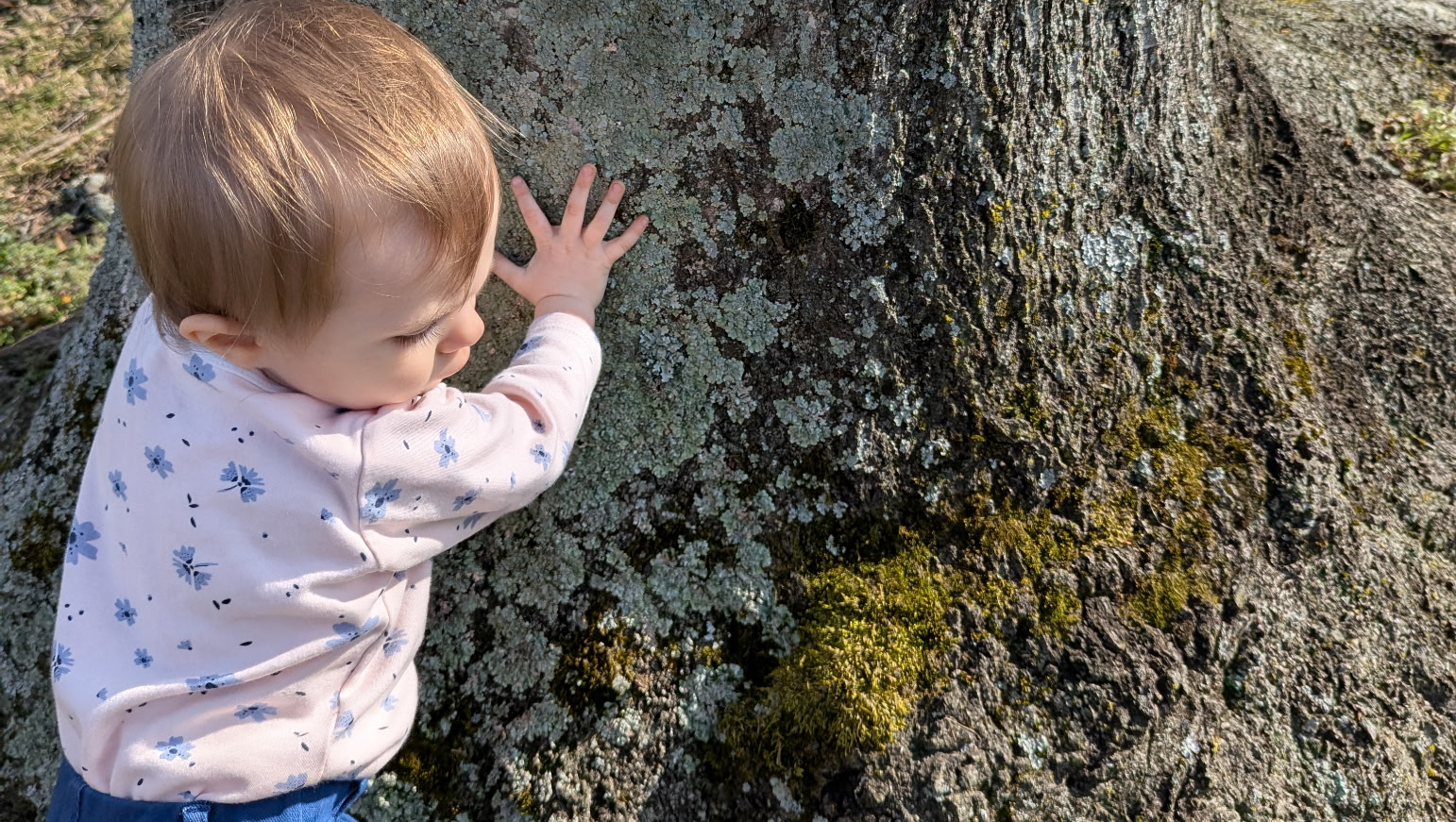 A Home with Room for Our Children photo