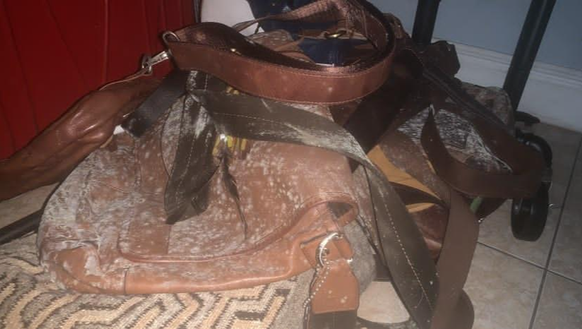 Help Miguel Recover from Mold Exposure photo