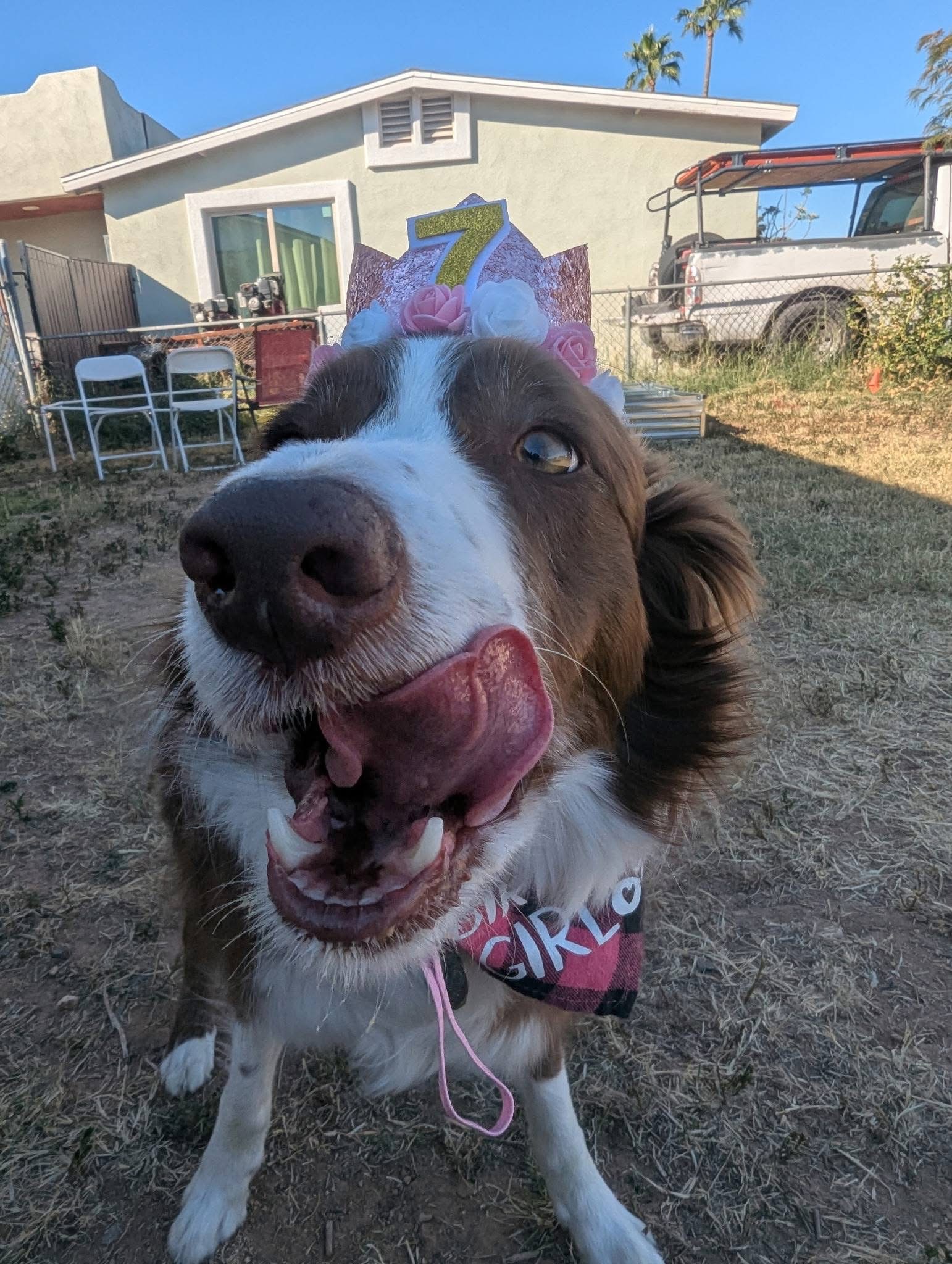 Donate to Maisy's Medical Fund campaign photo, 4 of 6
