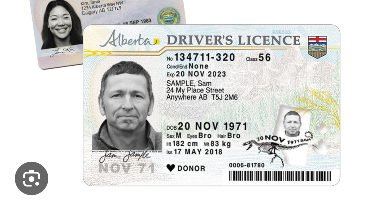 Support My Licence Reinstatement
