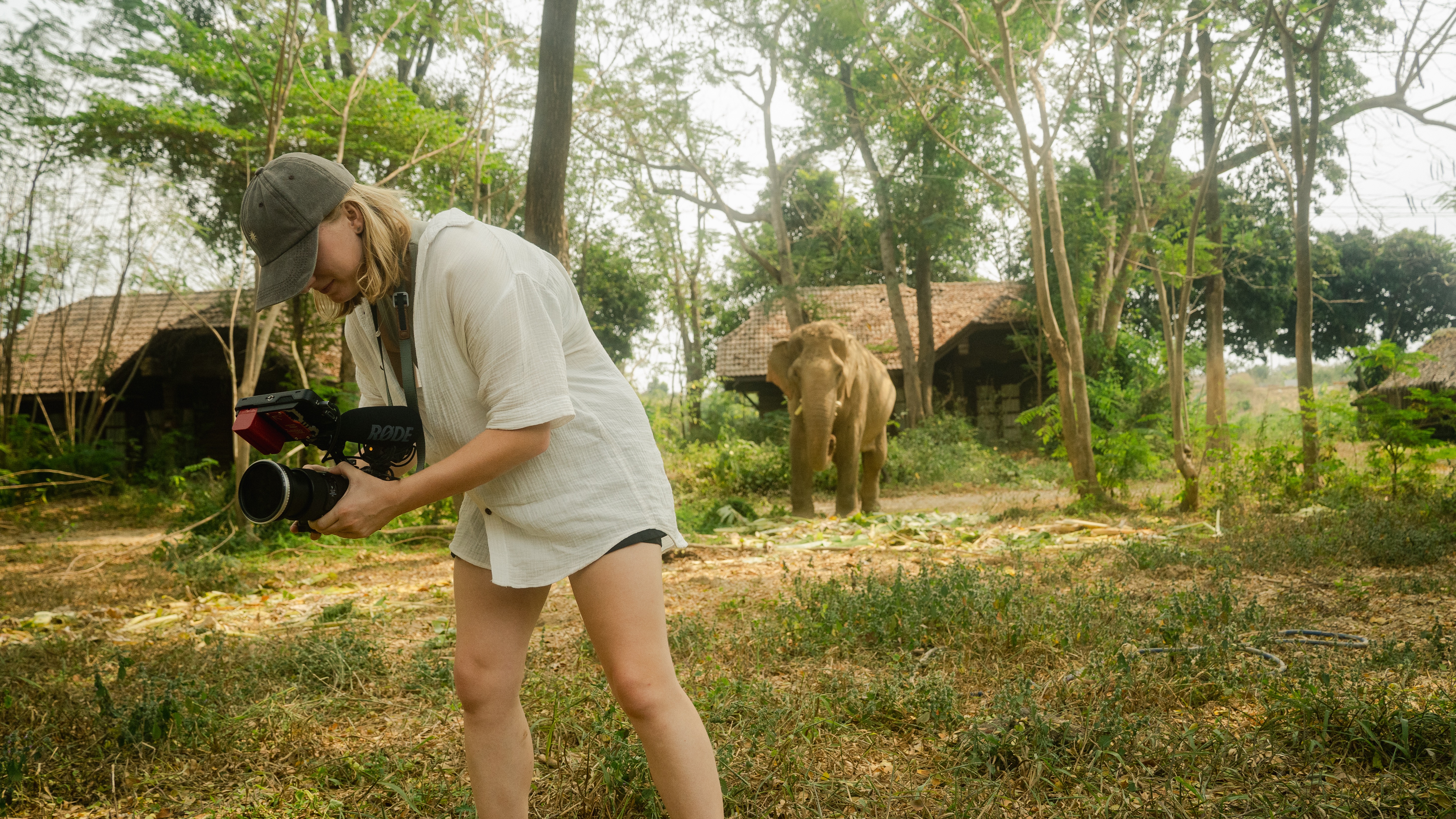 Stop Elephant Captivity — Support The Last Ride Documentary campaign photo, 2 of 8