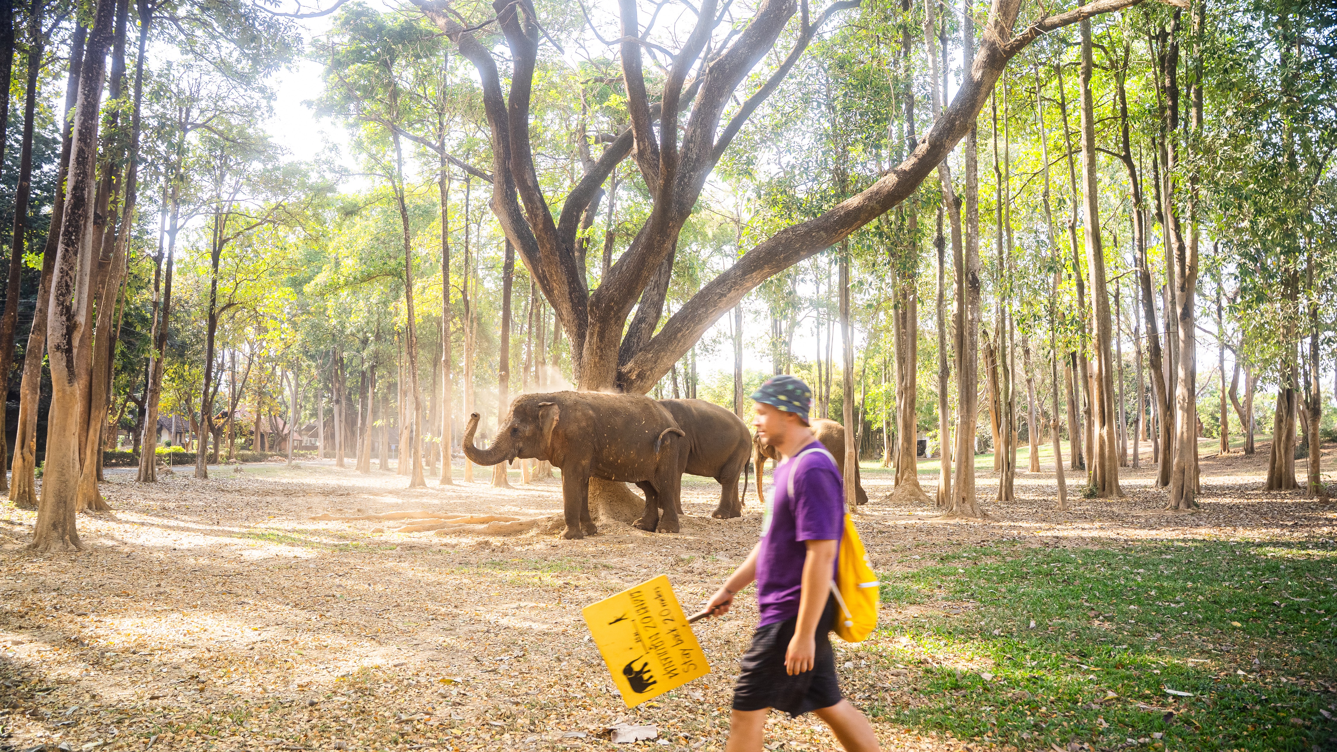 Stop Elephant Captivity — Support The Last Ride Documentary campaign photo, 6 of 8