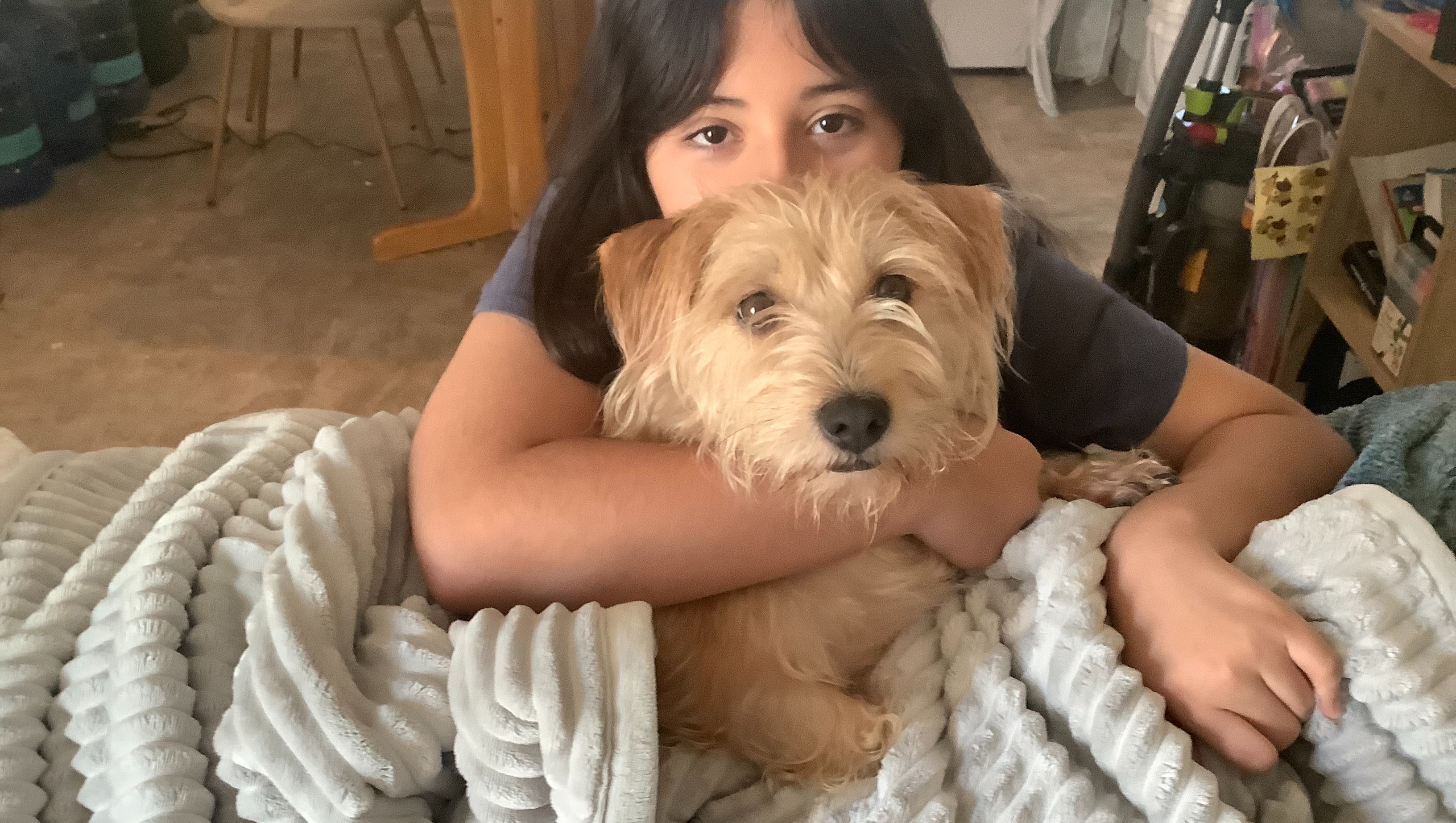 Help My Family Find a New Home photo