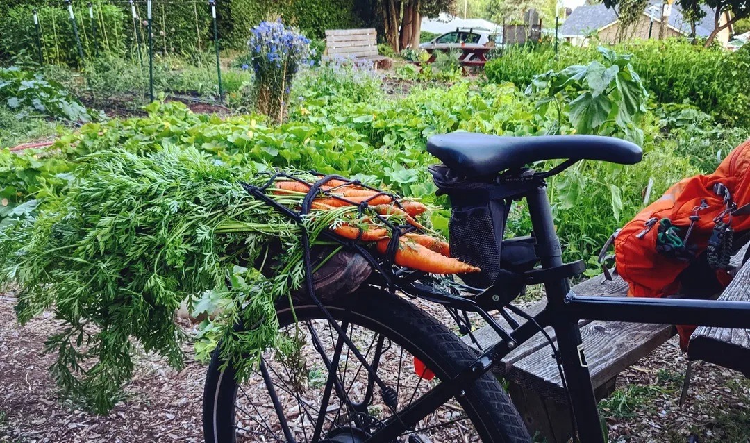 Support Beech St. Community Garden's 2026 Season campaign photo, 6 of 7