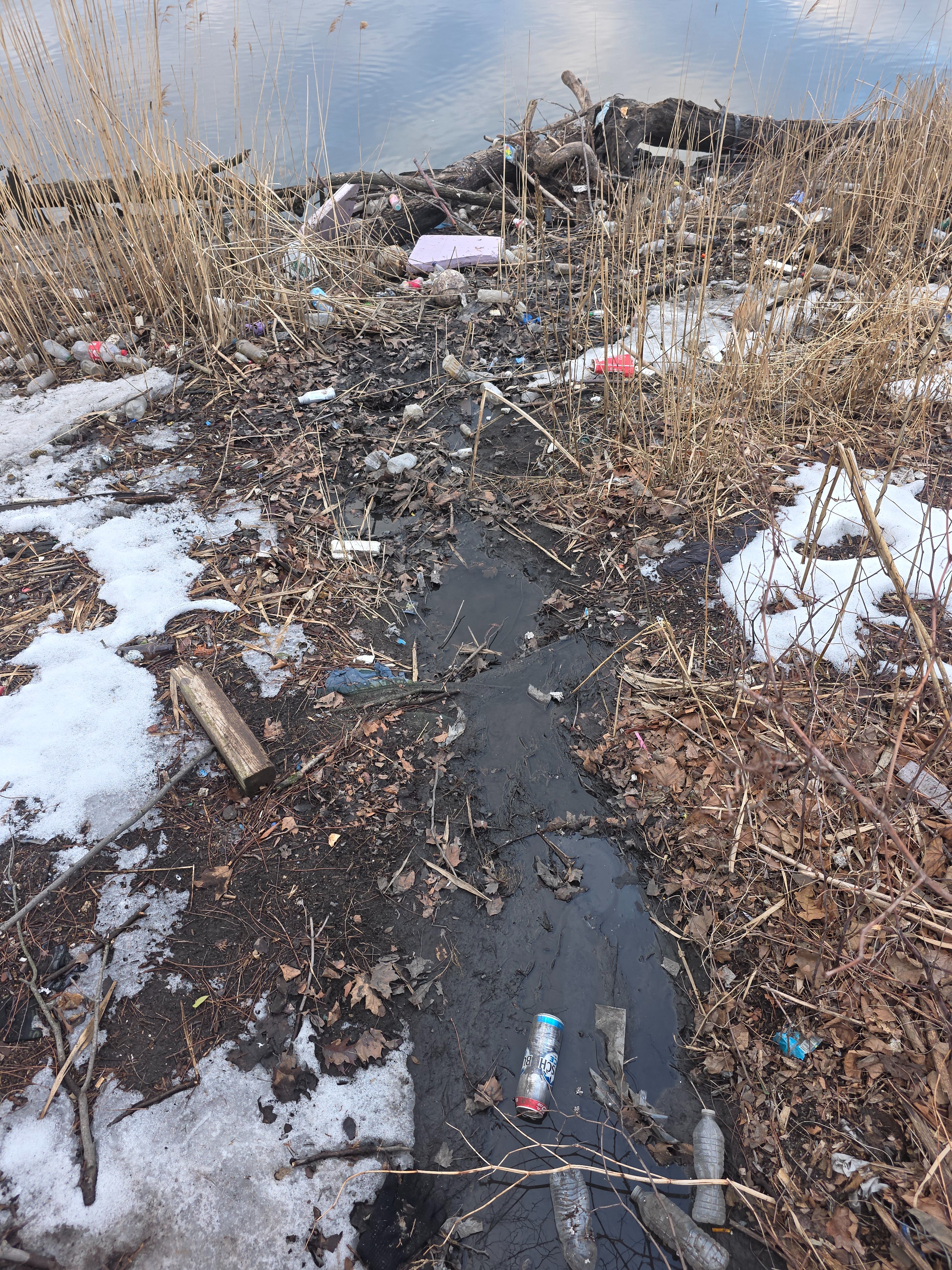 Fundraiser by Rafhael Gandolff : Revive the Riverfront: Help Us Clean ...