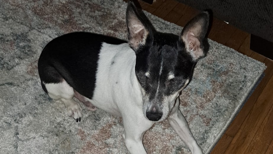 Help Ricky Recover from Cancer photo