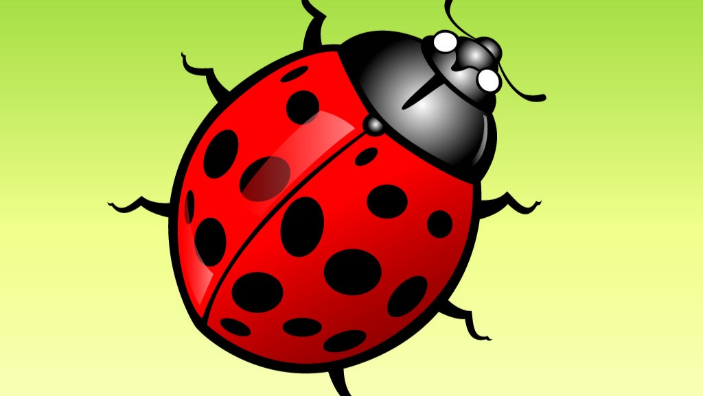 Help Save Ladybugs in Our Communit