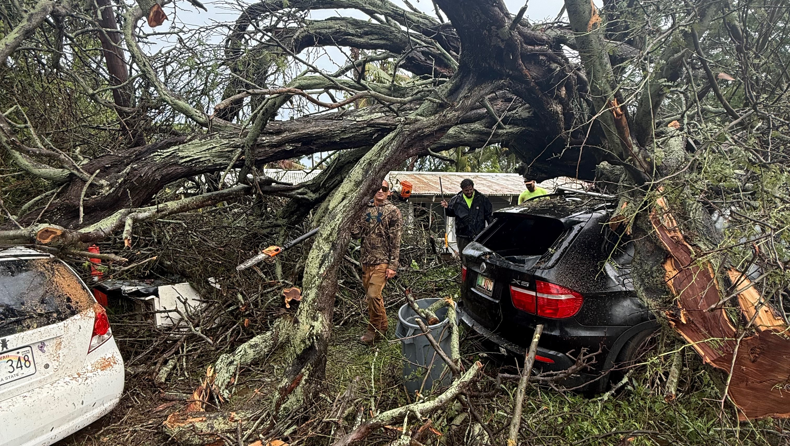 Help John & Jessica Recover After Tree Accident photo