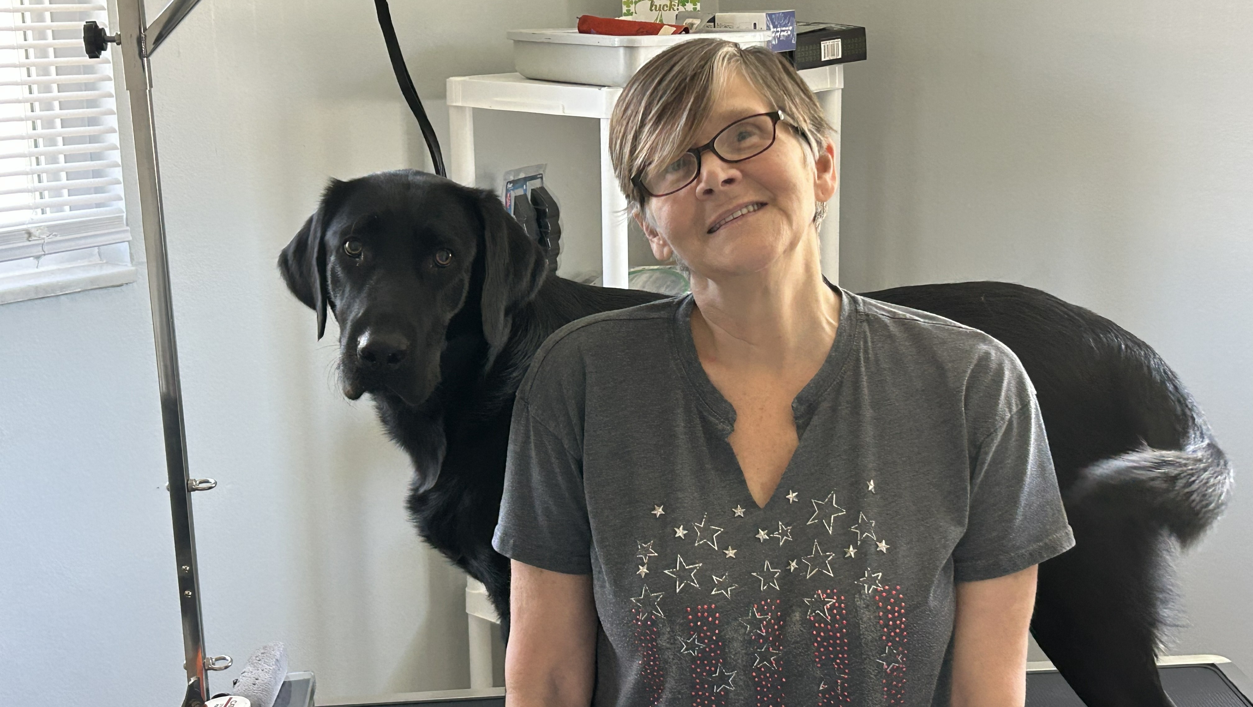 Help Every Dog Get the Care They Deserve photo