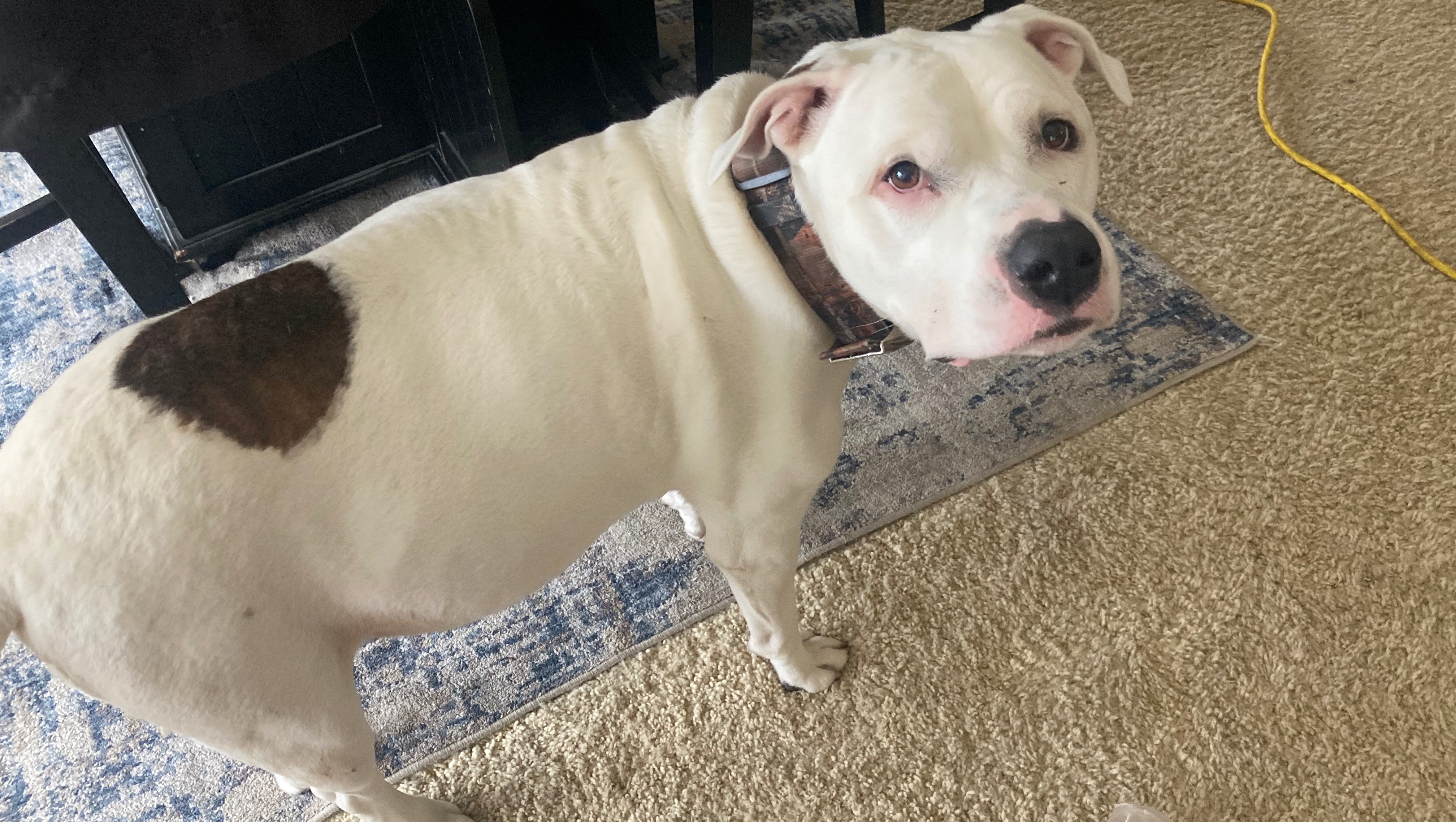 Support King’s Life-Saving Surgery