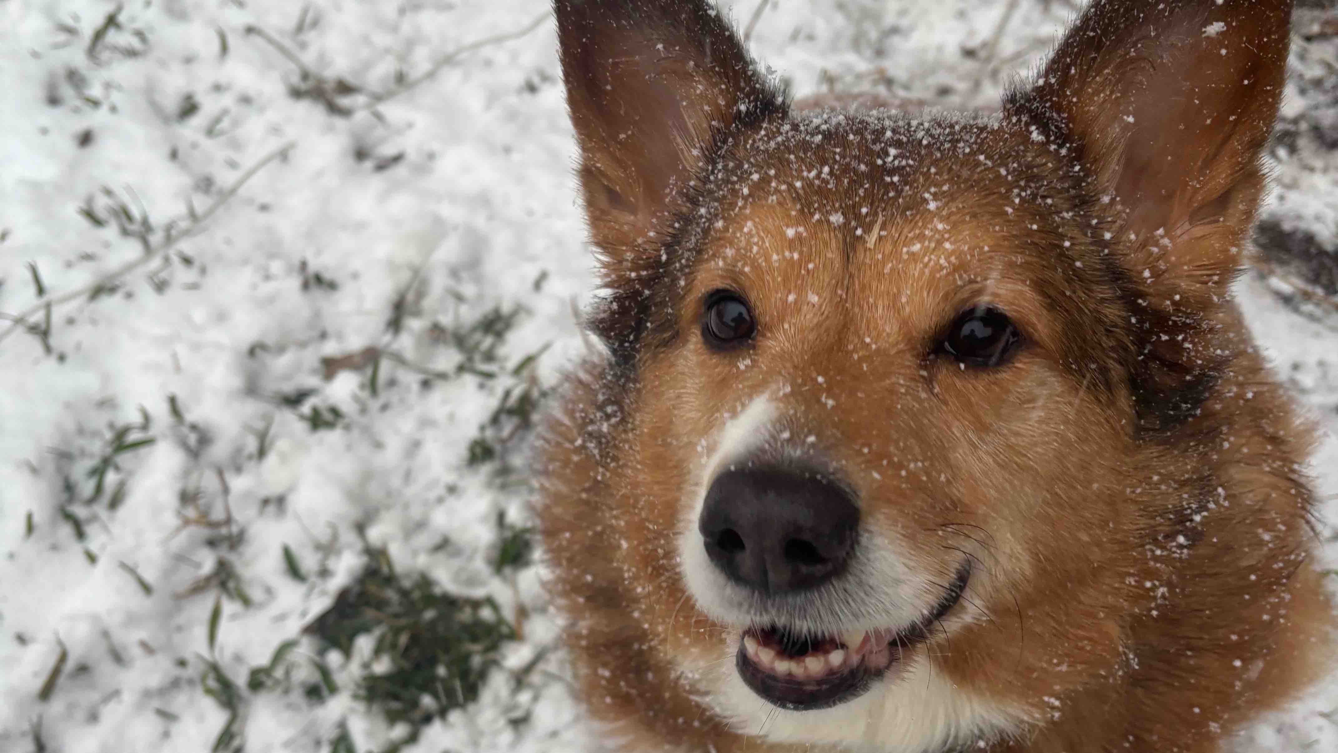 Help Doug Recover from Pneumonia photo