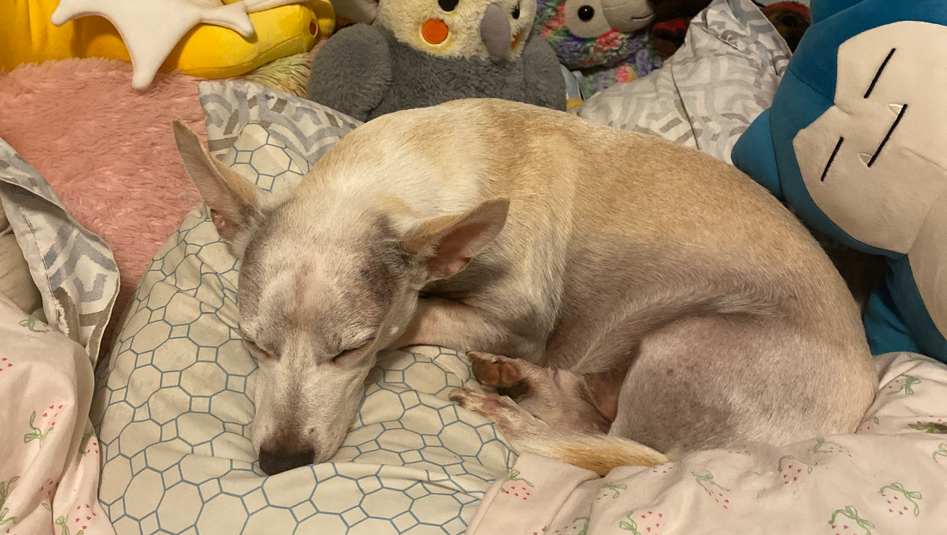 Angel’s Dental Care photo