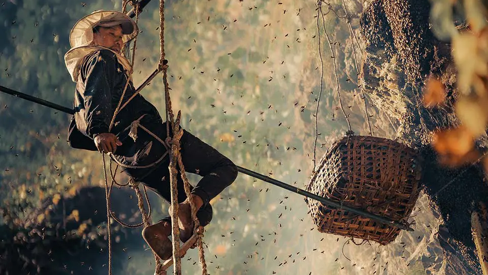 Empower Rai Honey Hunters: Taste the Adventure photo