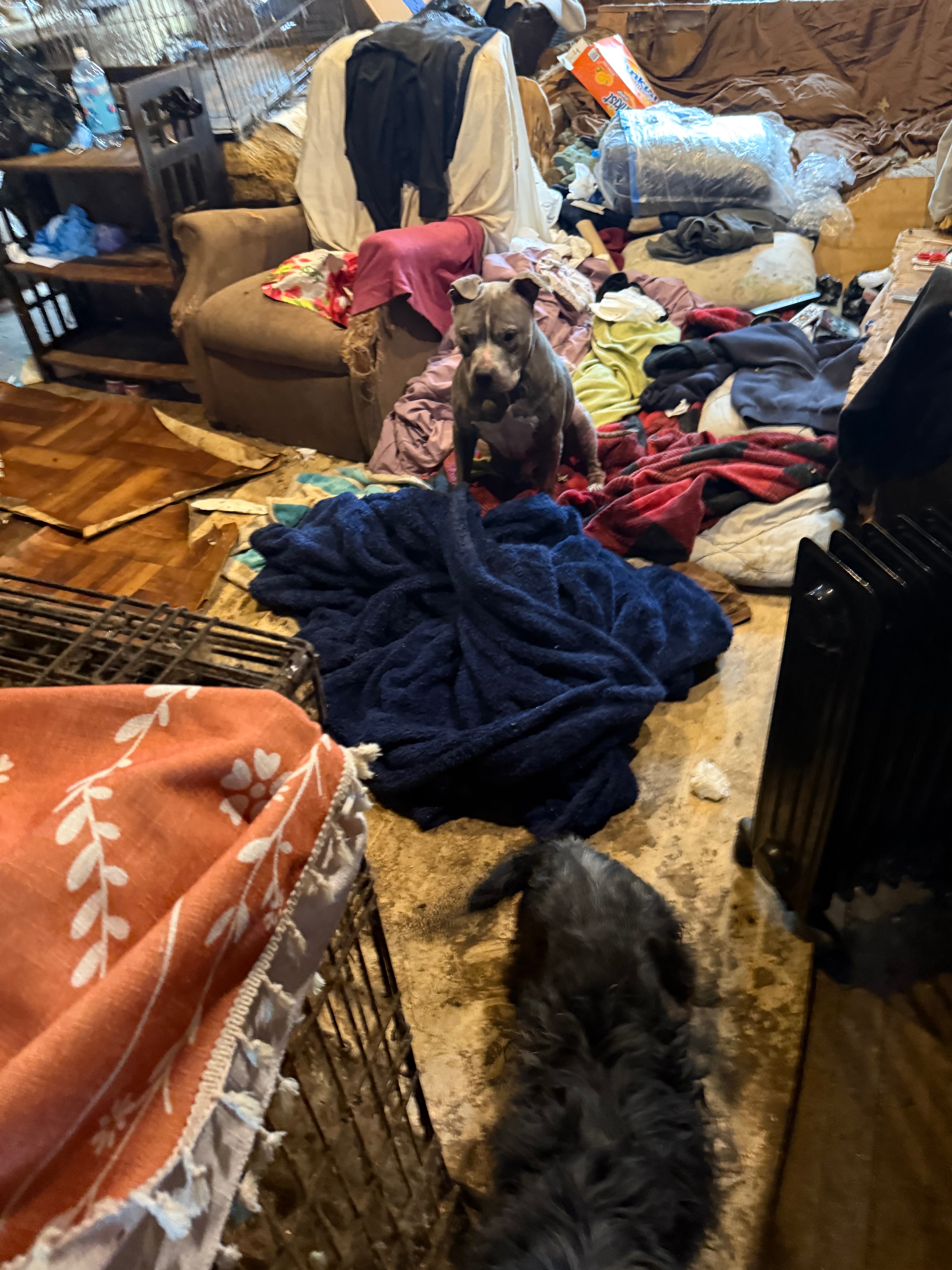Help Save Animals from a Hoarding Nightmare campaign photo, 2 of 7