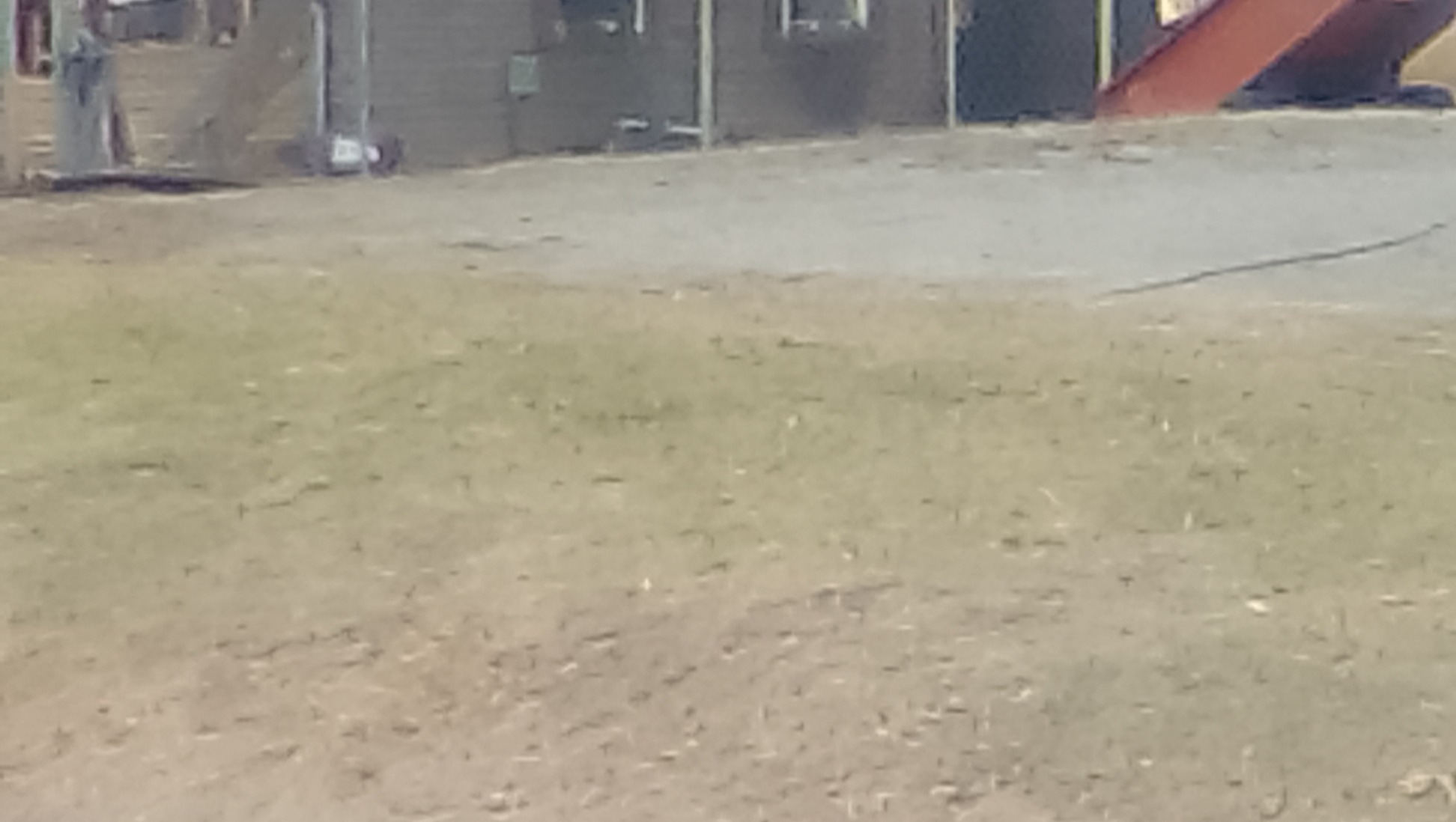 Support for Peggy’s Cousin After the Fire photo