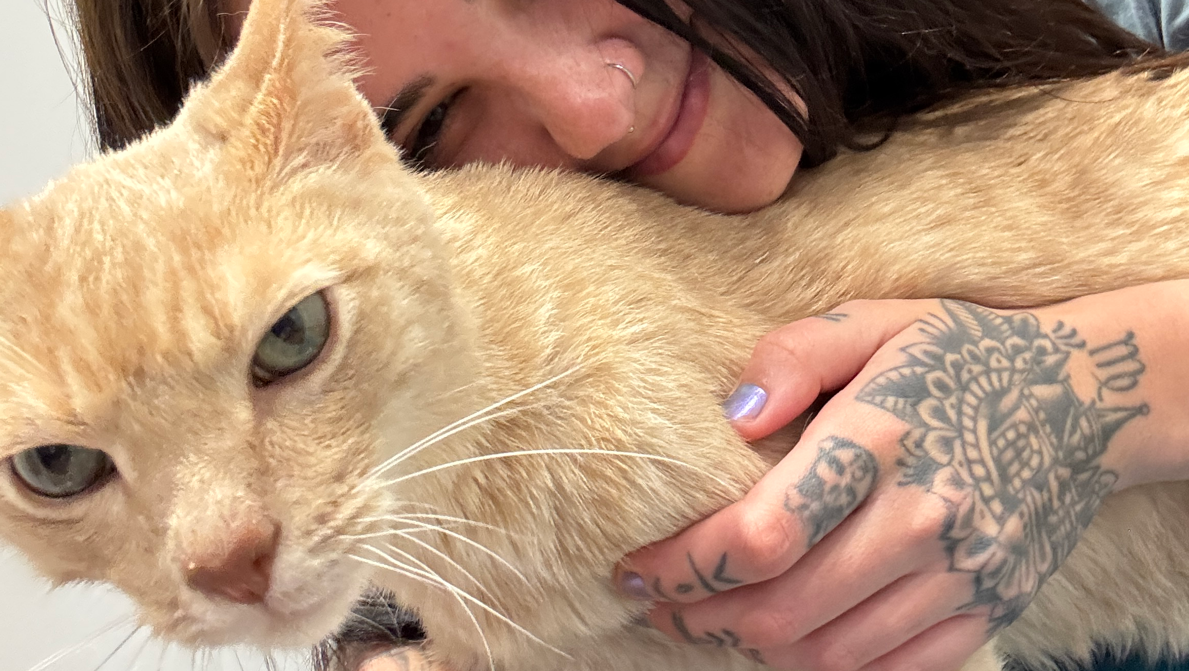 Love and Care for Tony's Healing Journey (10k vet bills) photo