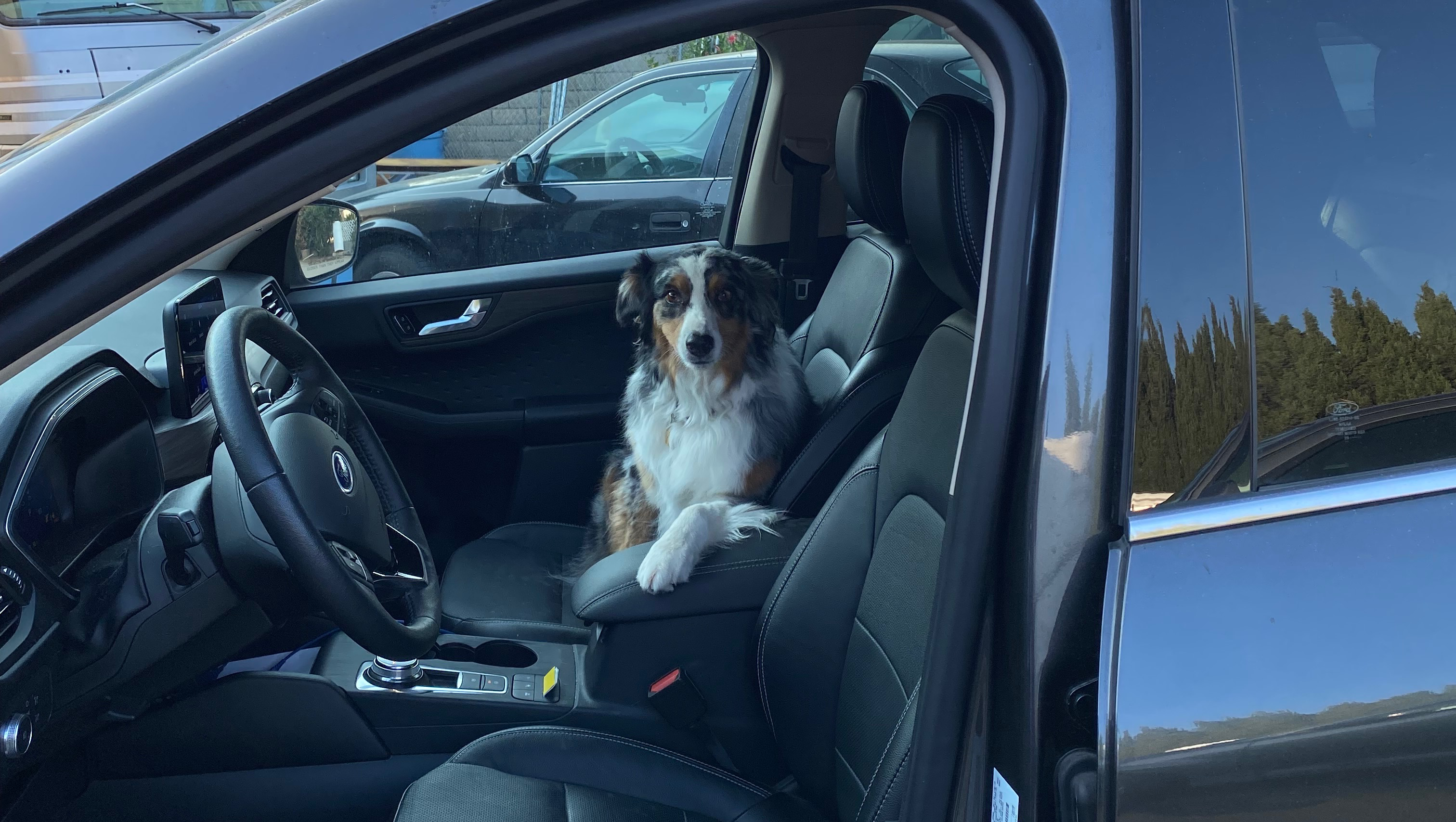 HELP KRISTA KEEP HER CAR! photo