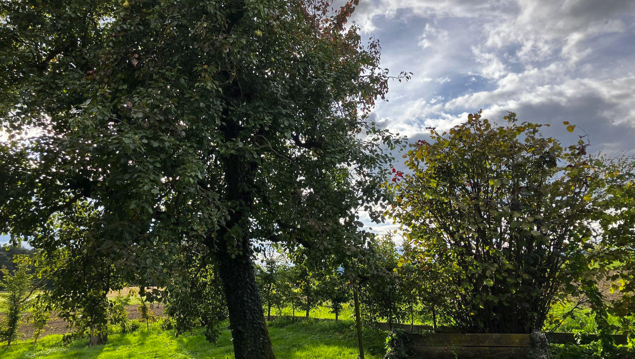 Coup de pouce pour mon loyer d’avril (et peut-être mai) photo