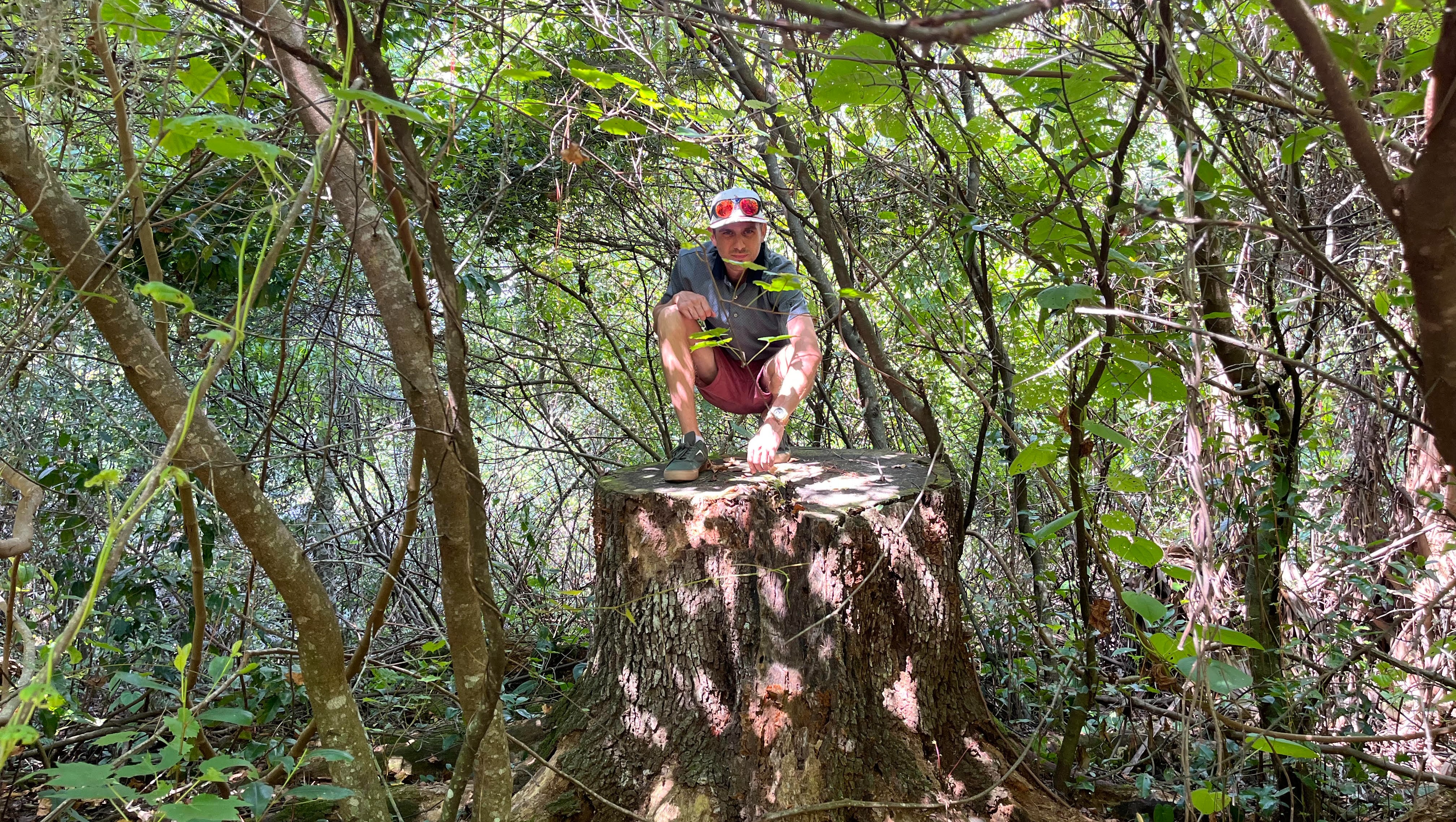 Help Restore Florida’s Ecosystems photo