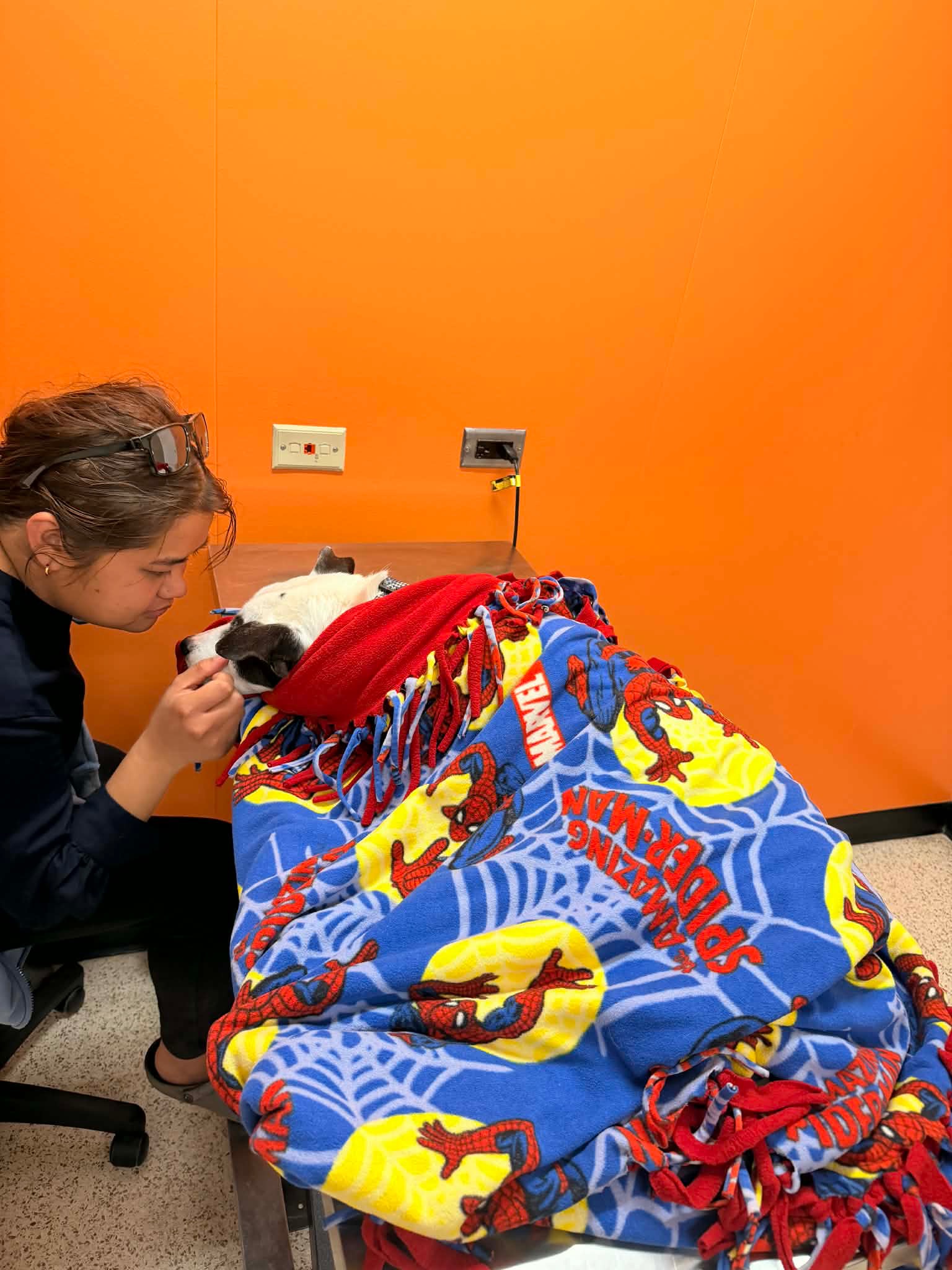 Fundraiser by Nykka Kate Masangque : Help Buster Fight Cancer and Heal