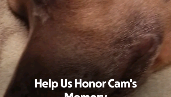 Honoring Cam: Help with Final Expenses