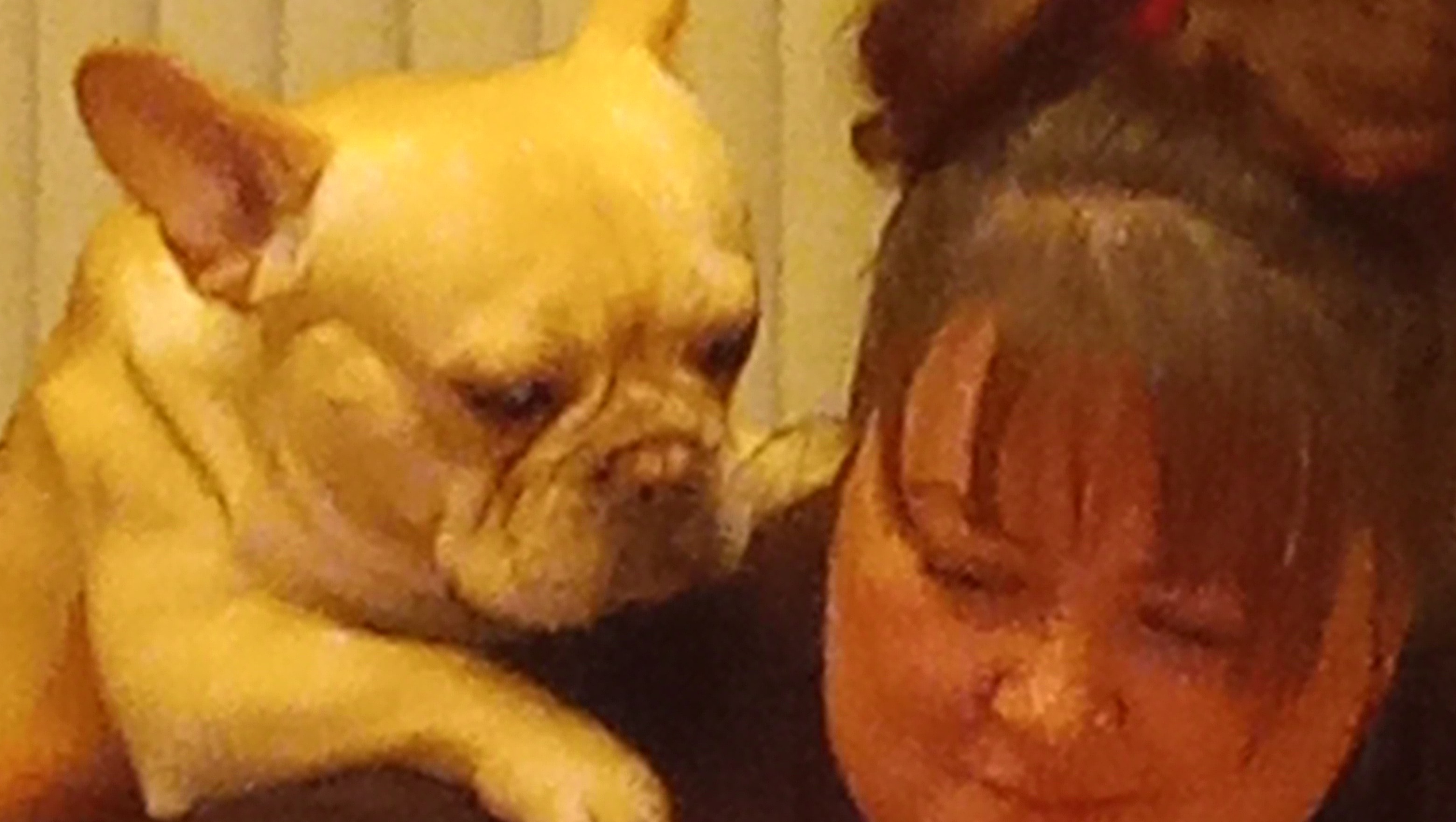 Help Max Cross the Rainbow Bridge