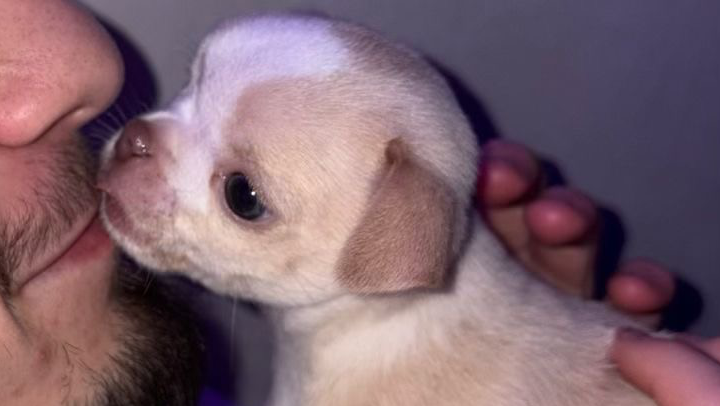 Ajudem o Loui a Ter Uma Nova Chance photo